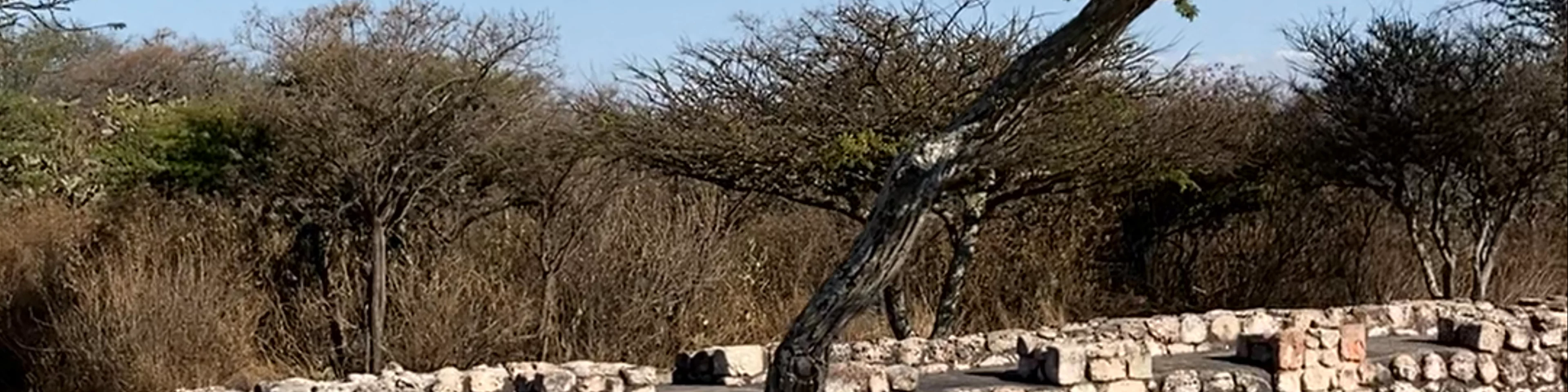 Zona Arqueológica Cañada de la Virgen