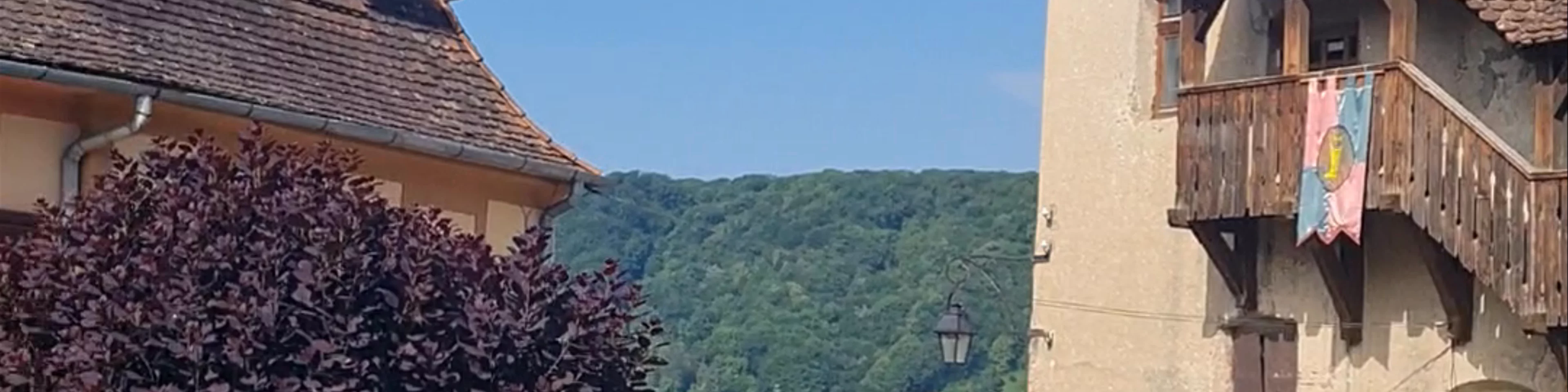 Sighișoara