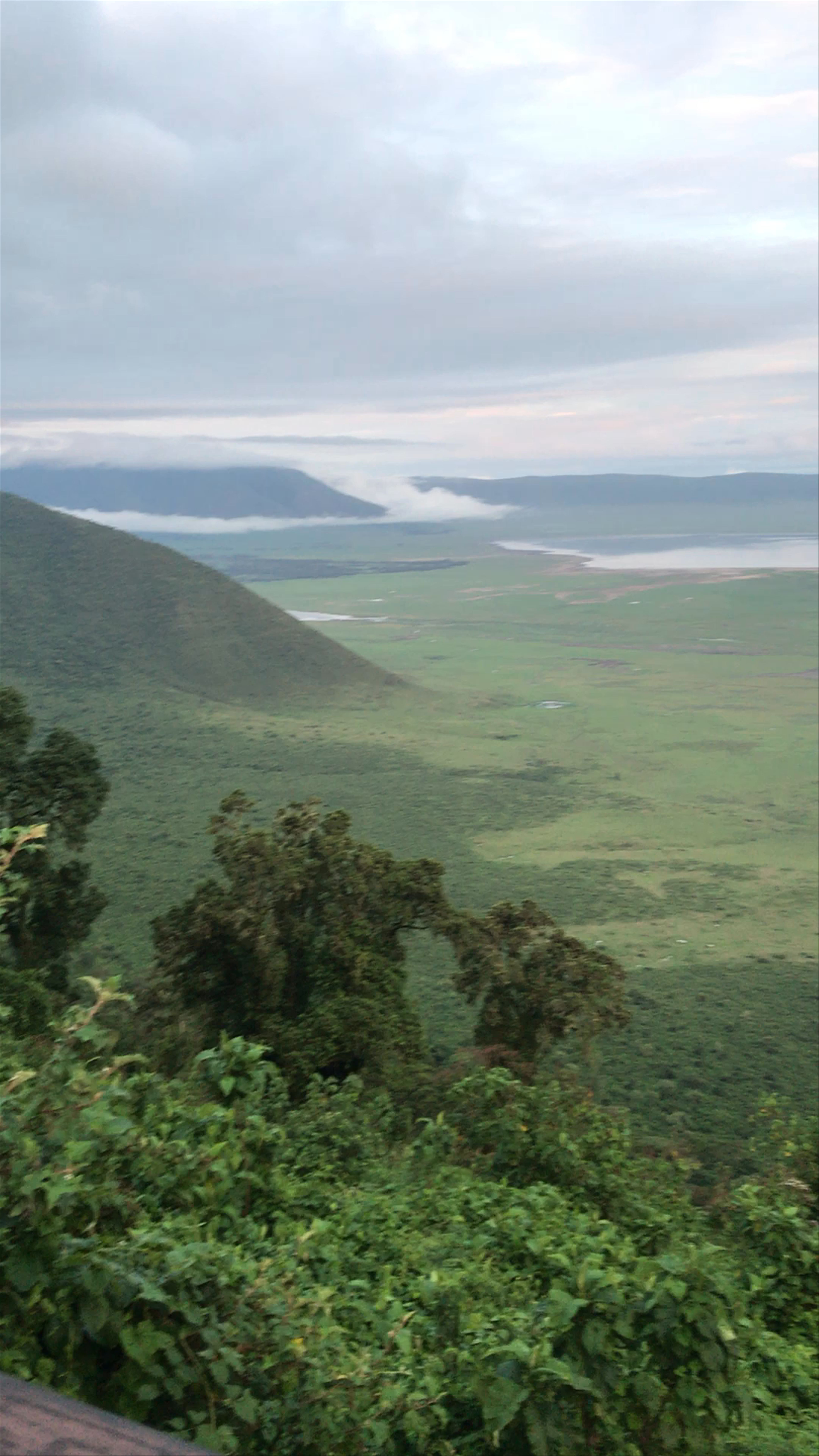 Ngorongoro Conservation Area