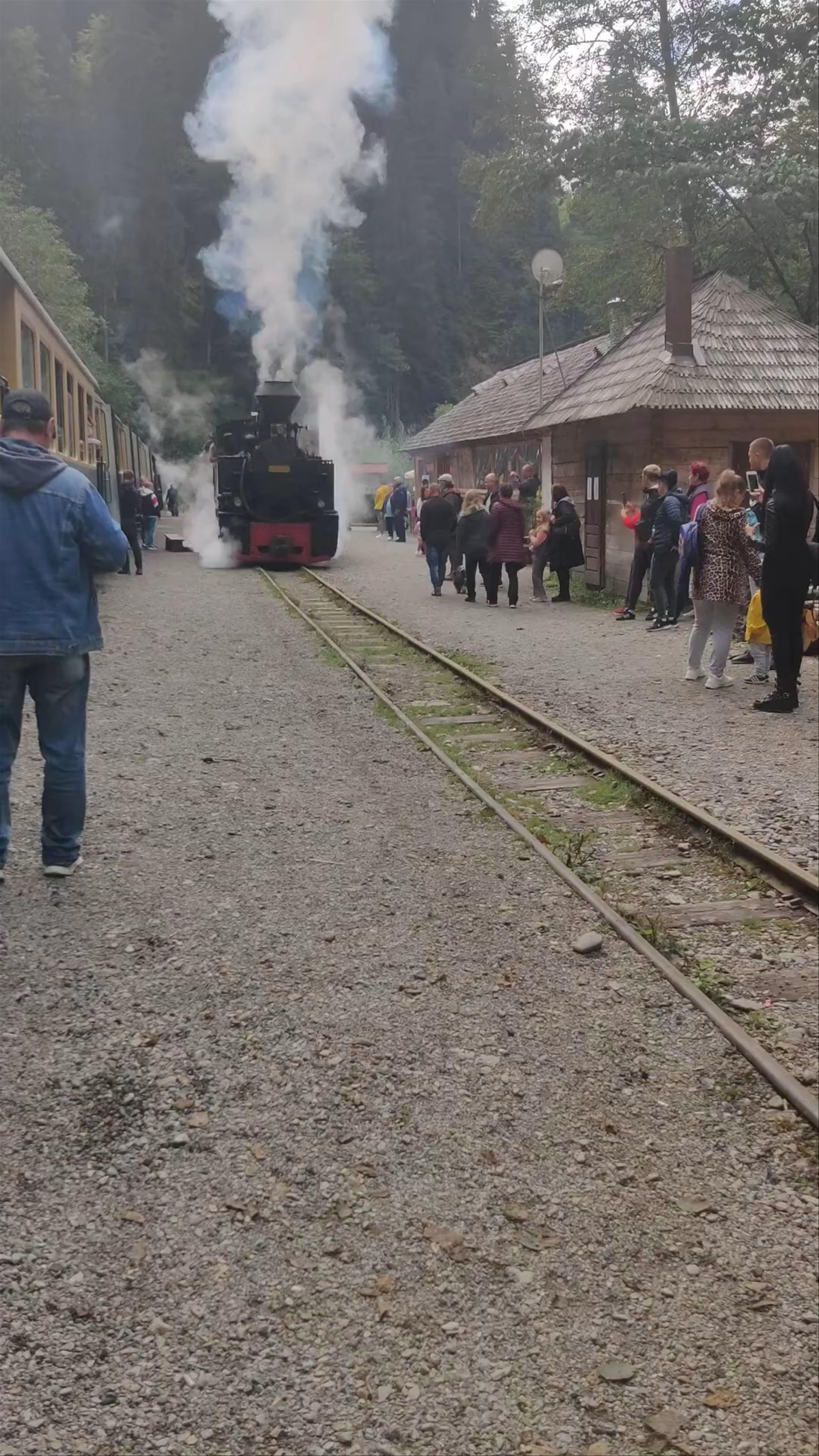 Mocănița Maramureș