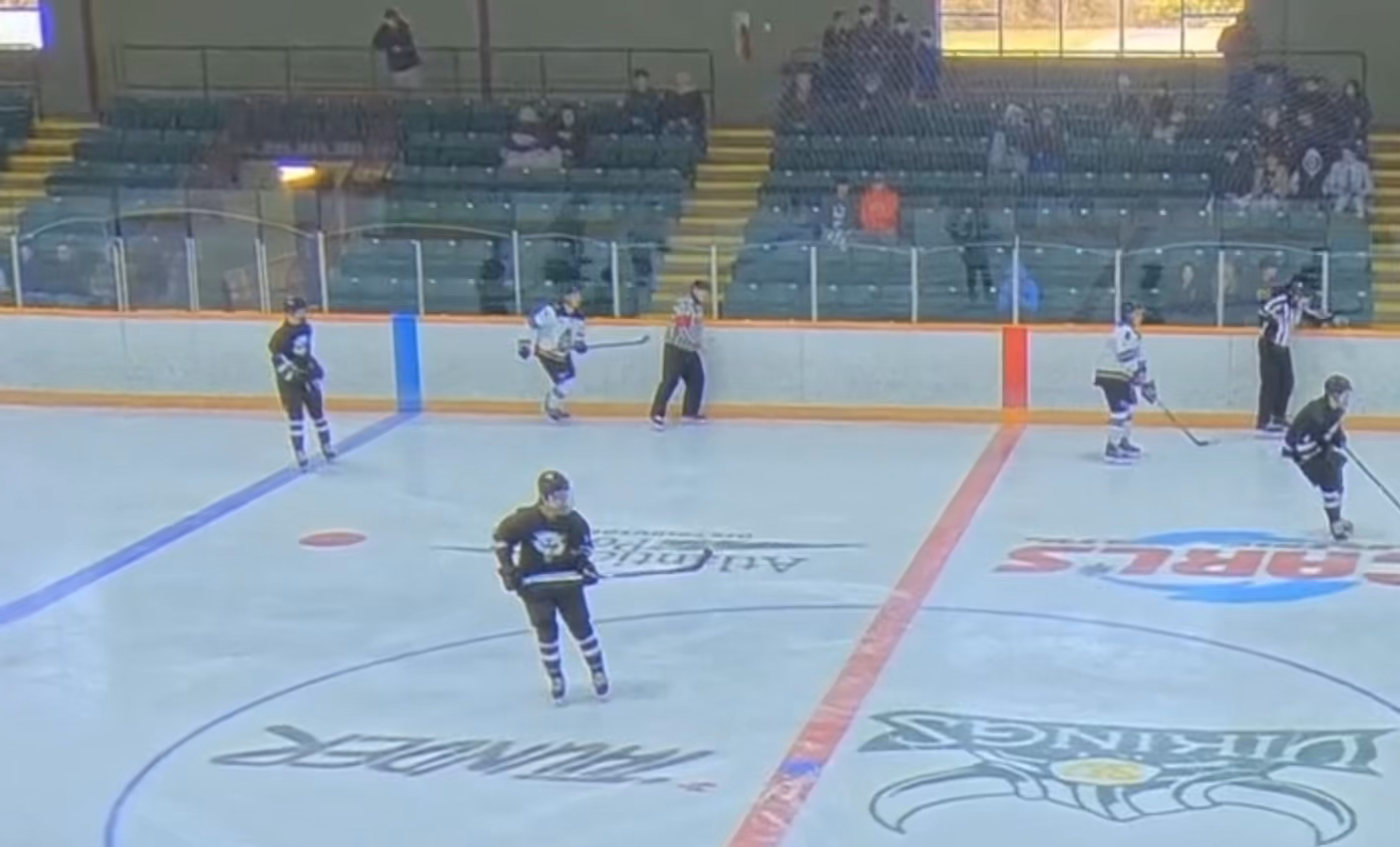 Stealing the puck from the goalie, assist