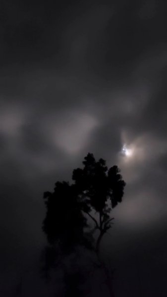 Photo of A silent Night.- the