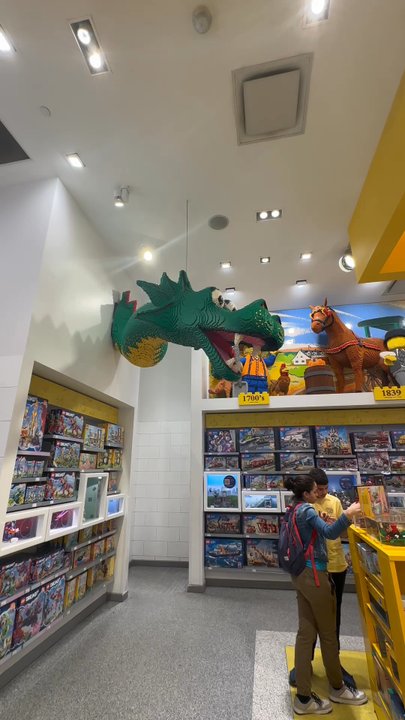 Lego - Wall dragon! - Toy Stores Near Me - New York, New York