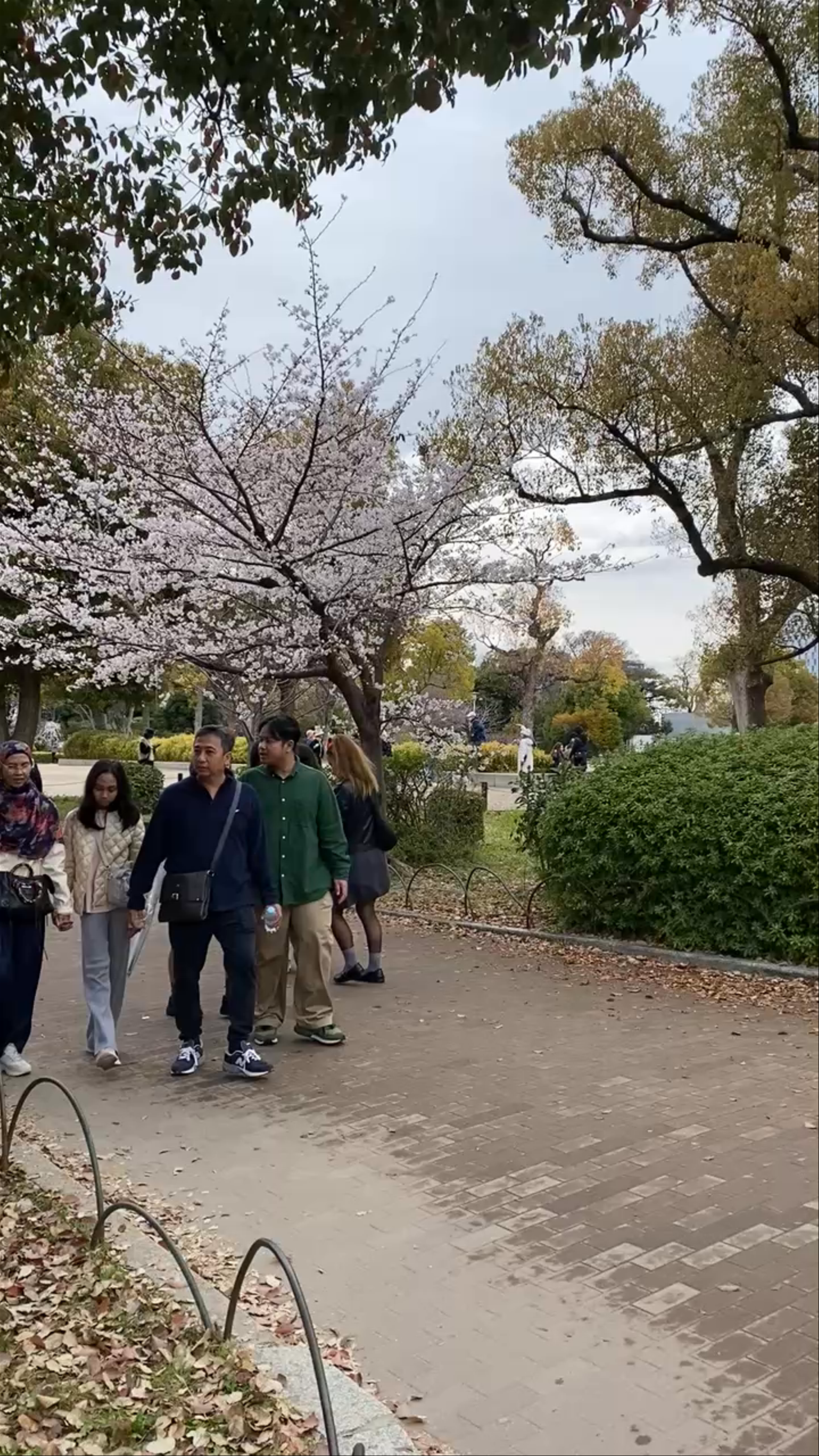 Osaka Castle Park