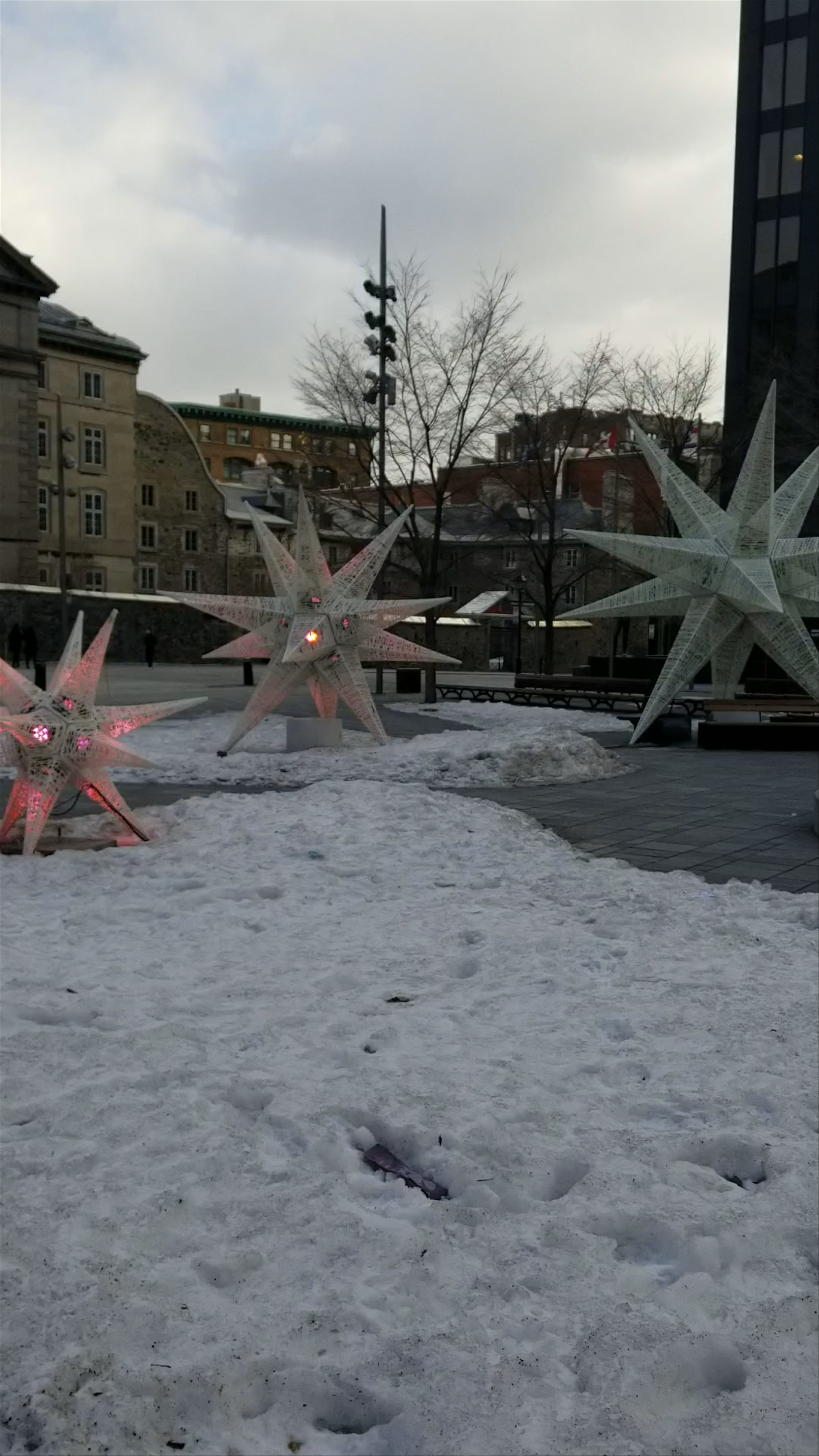 Winter Afternoon at Basilique Notre-Dame in Montréal