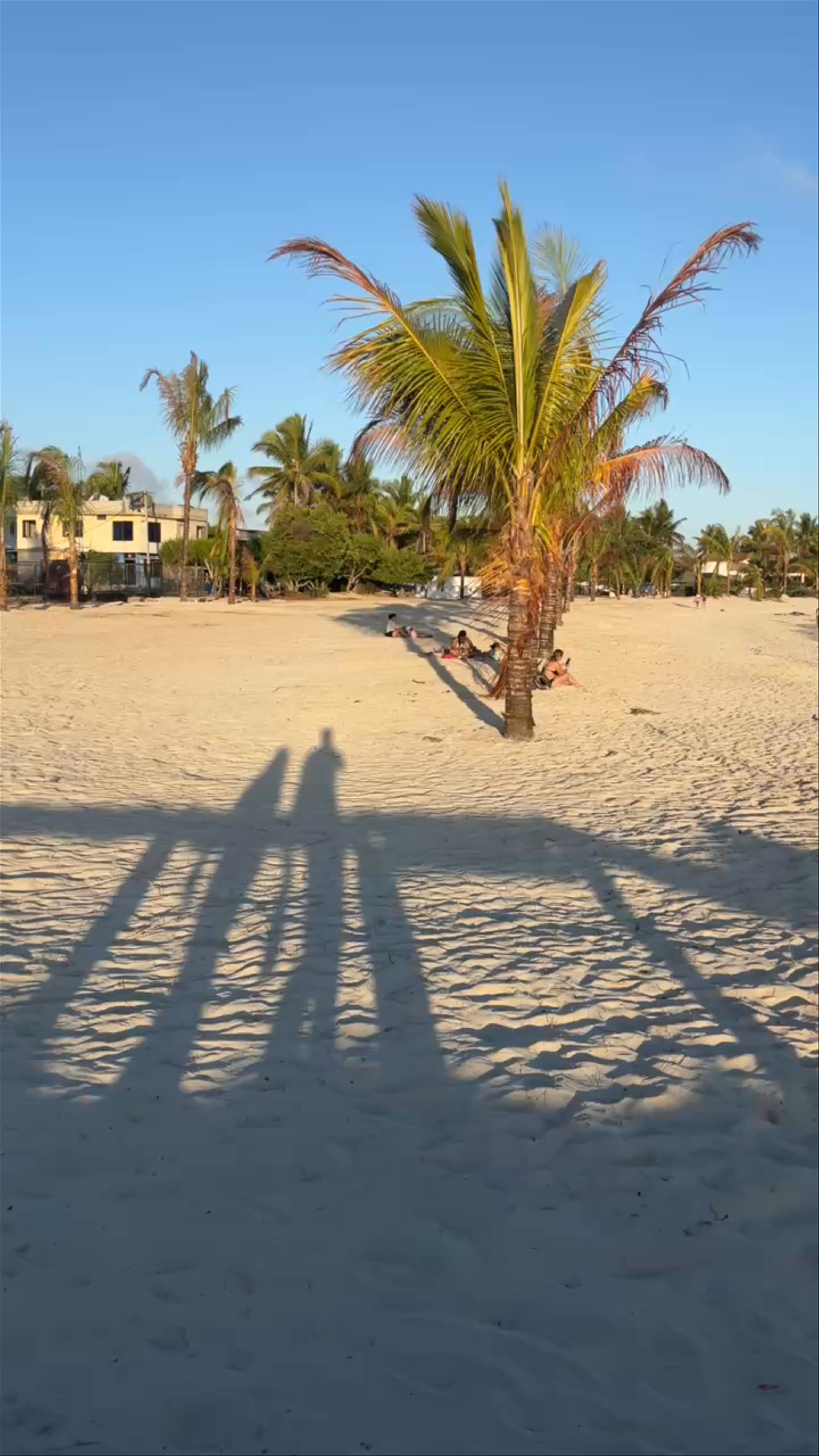 Playa Isabela