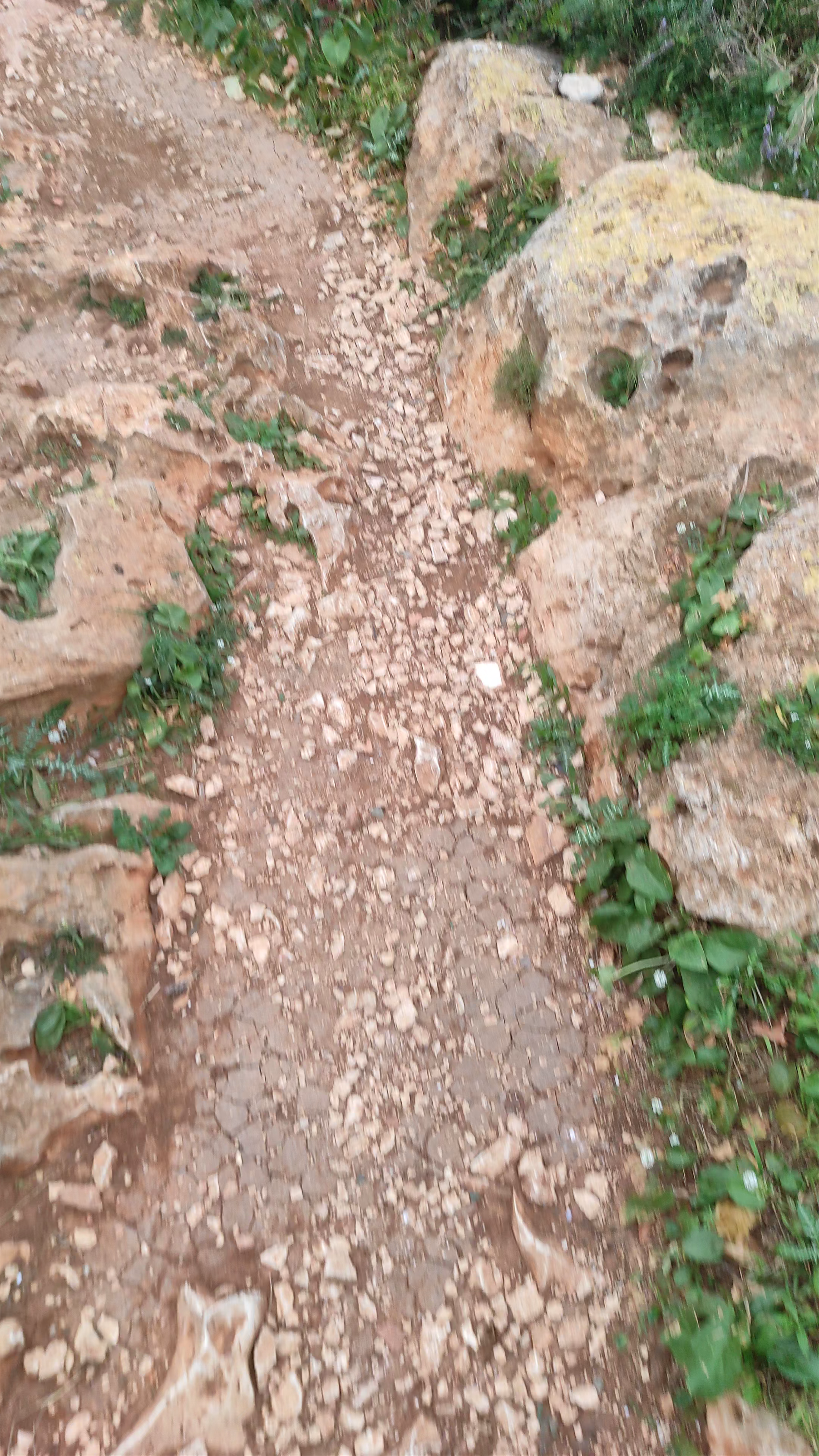 Cap de Sant Antoni