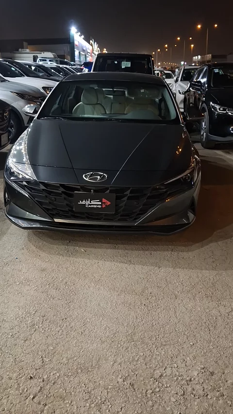 Hyundai Elantra fleet 2023
