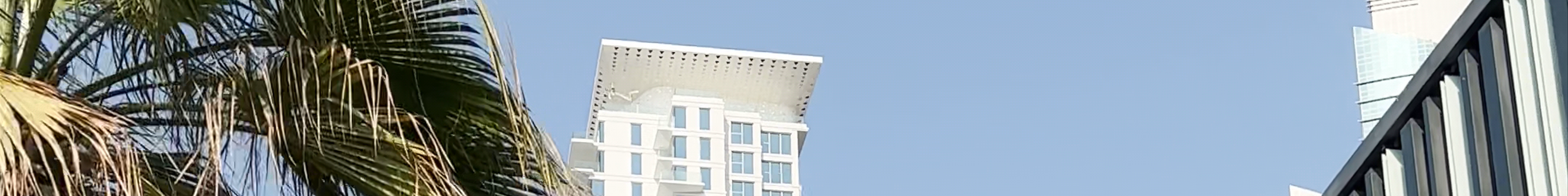 Tours & experiences in United Arab Emirates