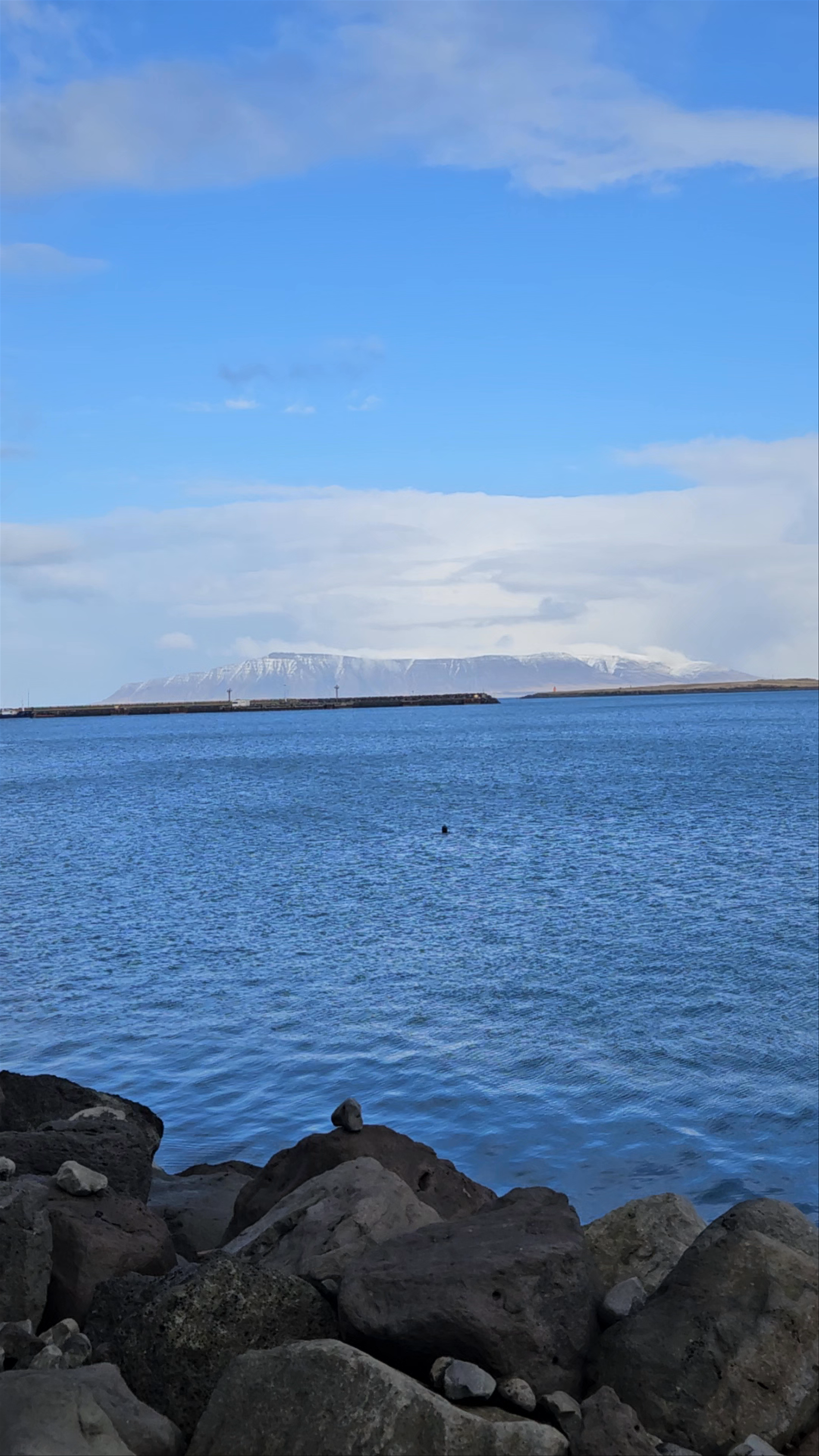Seaview from Reykjavik