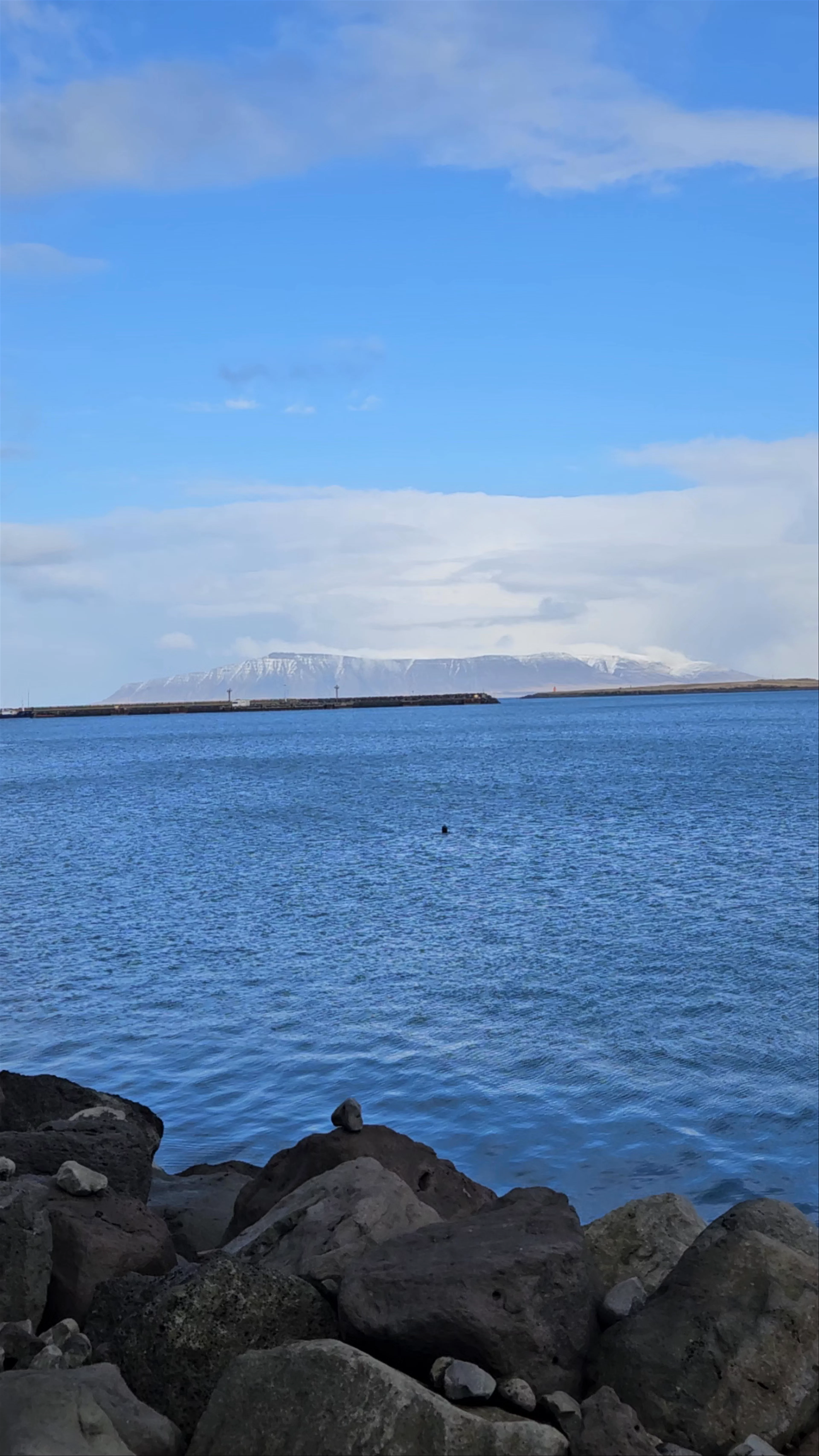 Harpa Concert Hall and Seaview