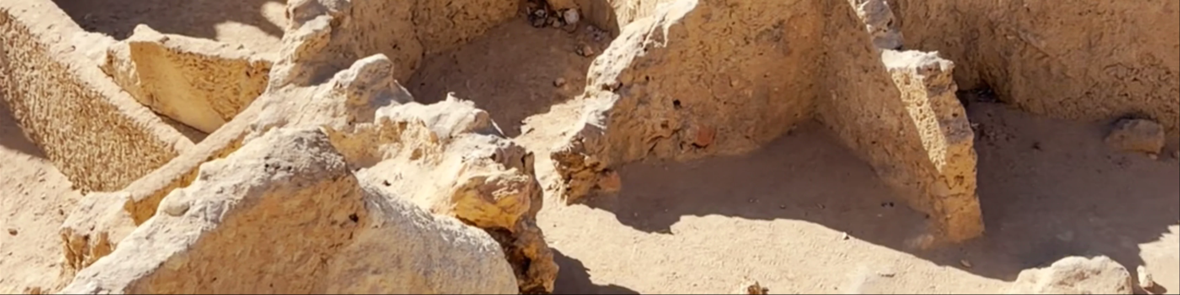 Shali Fortress