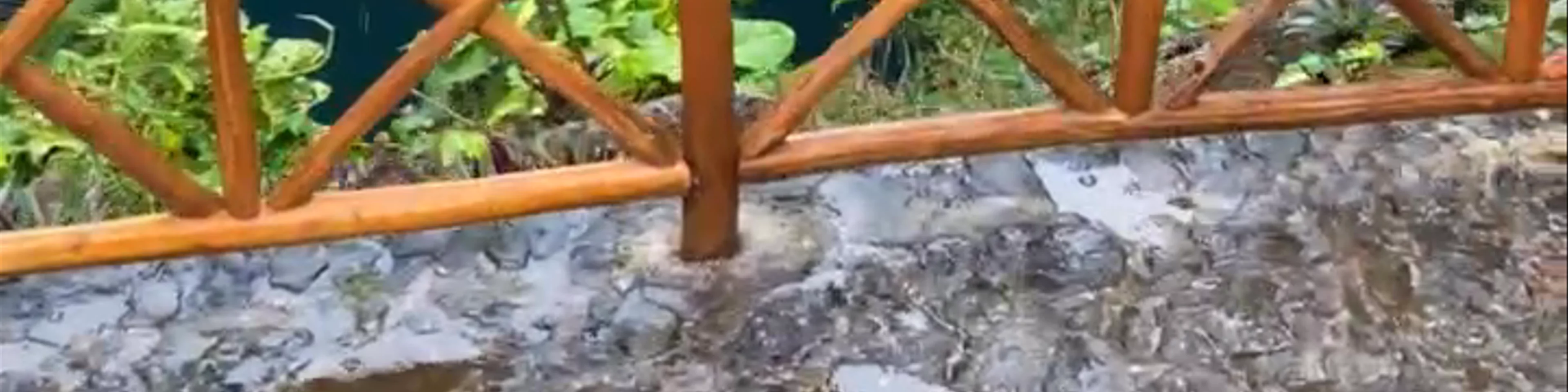 Cenote Zaci Valladolid