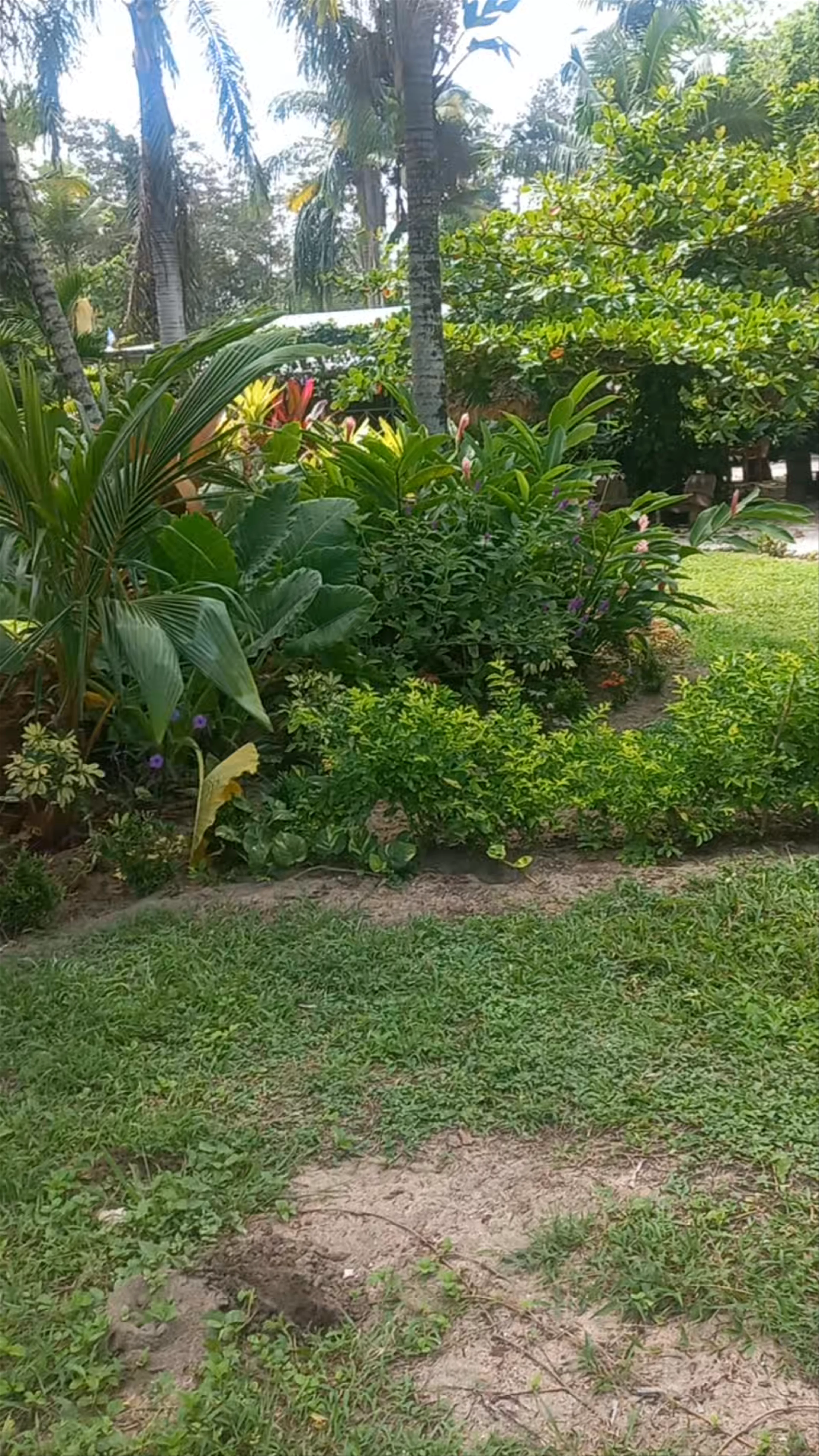Entra a piscinas naturales, Puerto Viejo de Talamanca