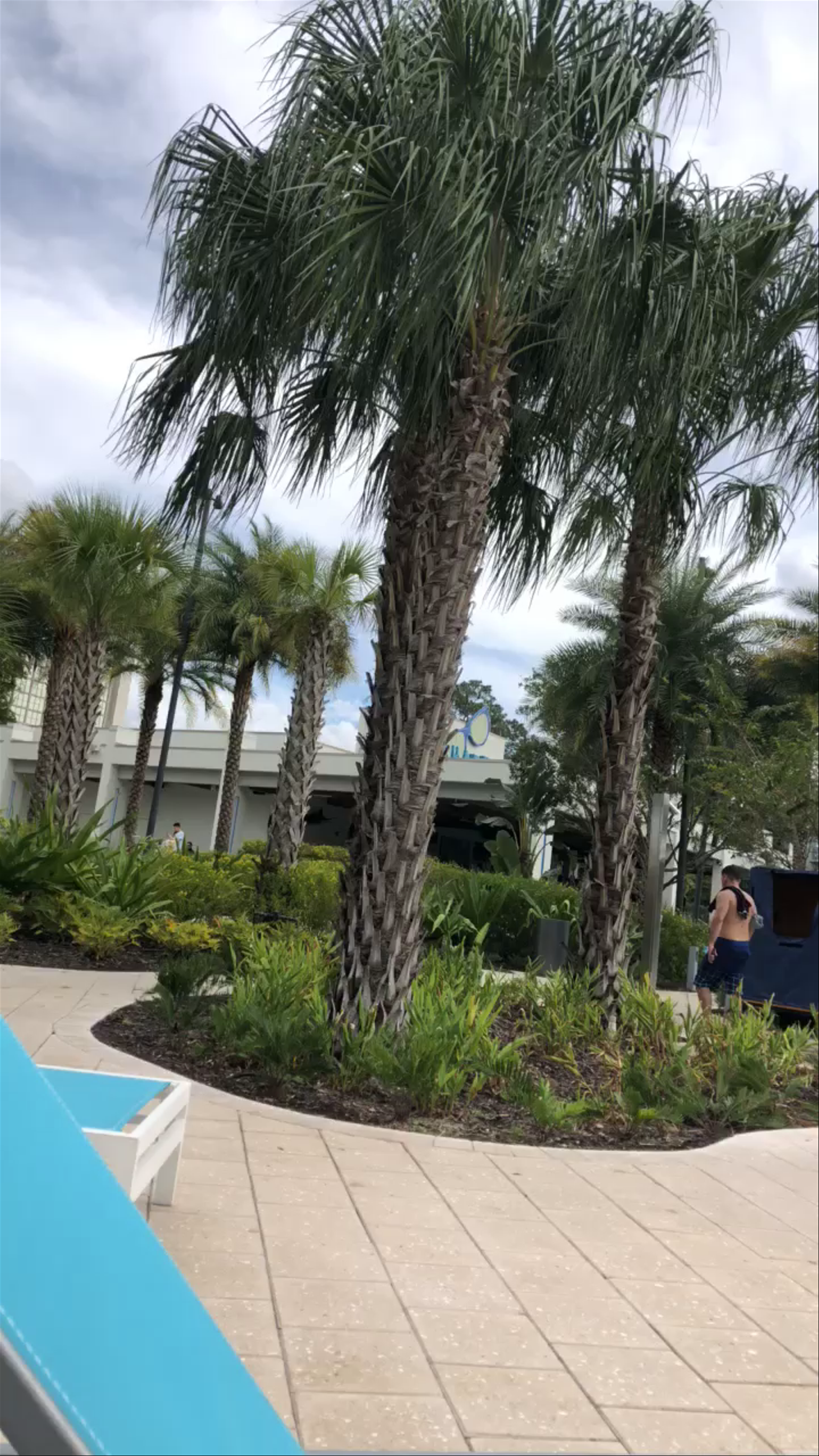 Hilton Orlando Buena Vista Palace - Disney Springs Area