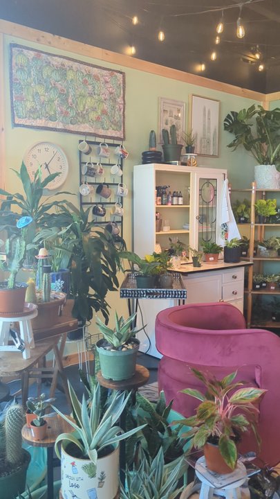 Ray Ray Plants - Men's Clothing Near Me - Williamsburg, Virginia