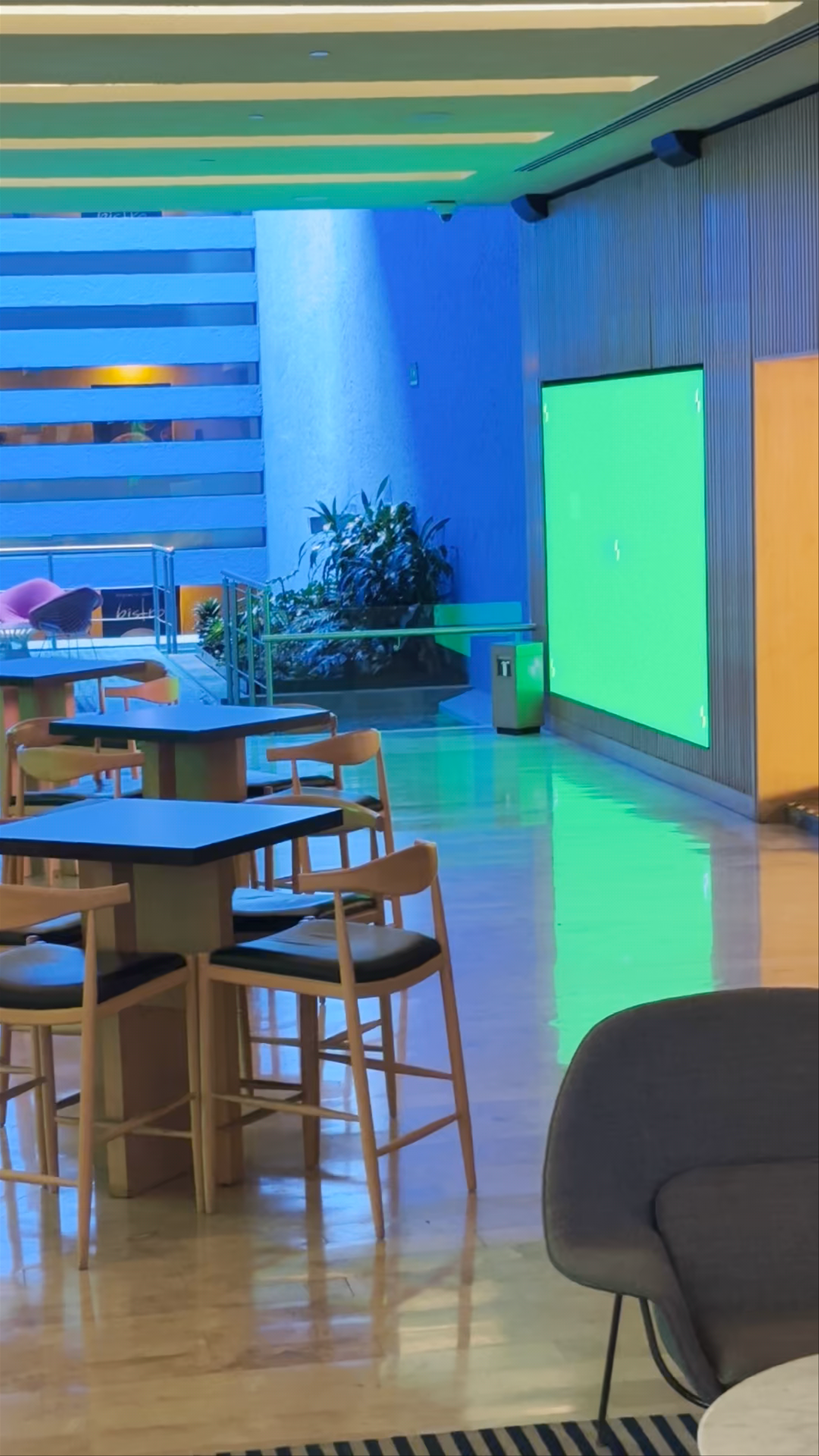 Modern Urban Escape at Camino Real Polanco, Mexico City