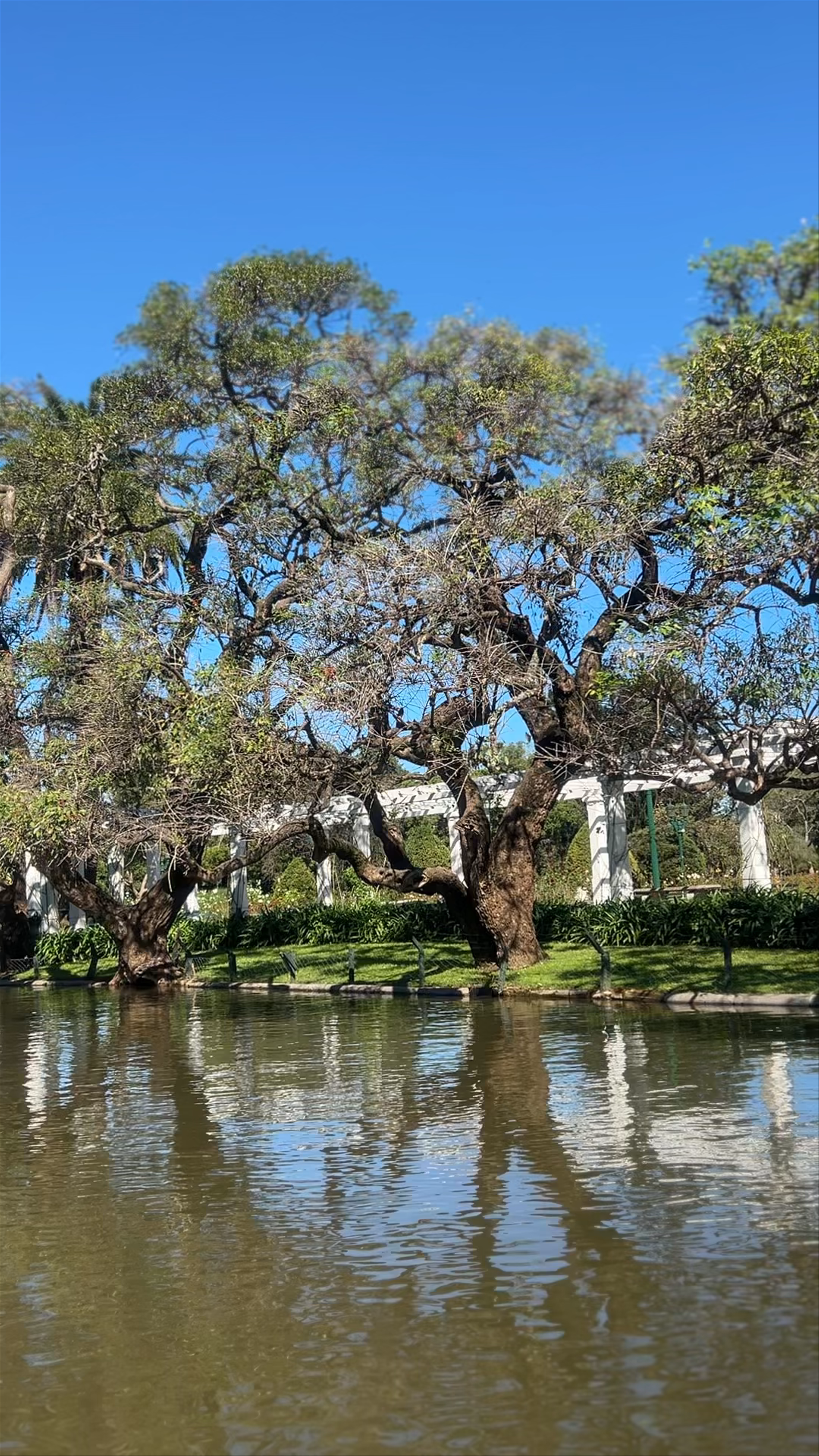 Parque El Rosedal