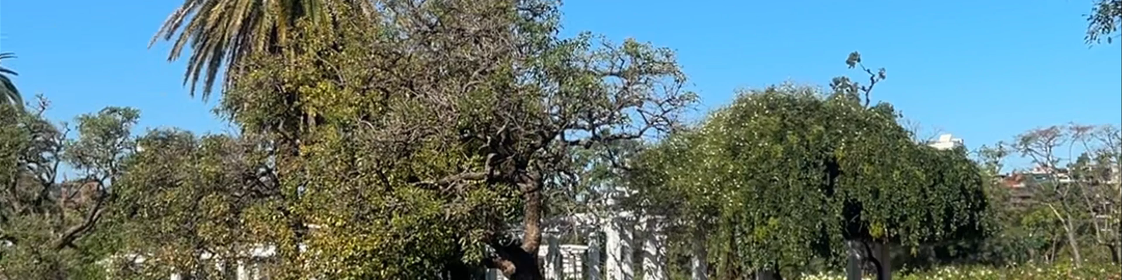 Parque El Rosedal