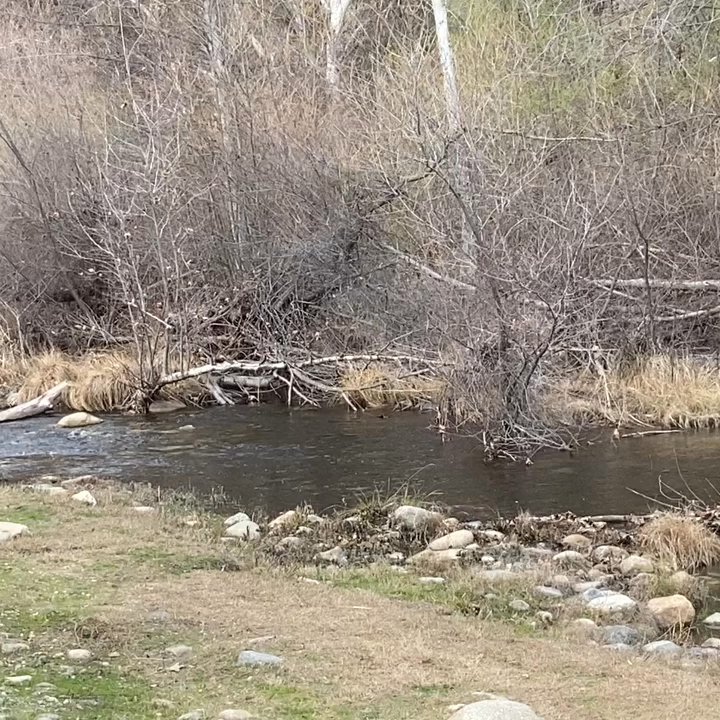 Sequoia Rv Ranch - The river runs through it. Nice trip. Social distancing - Campgrounds Near Me - Three Rivers, California