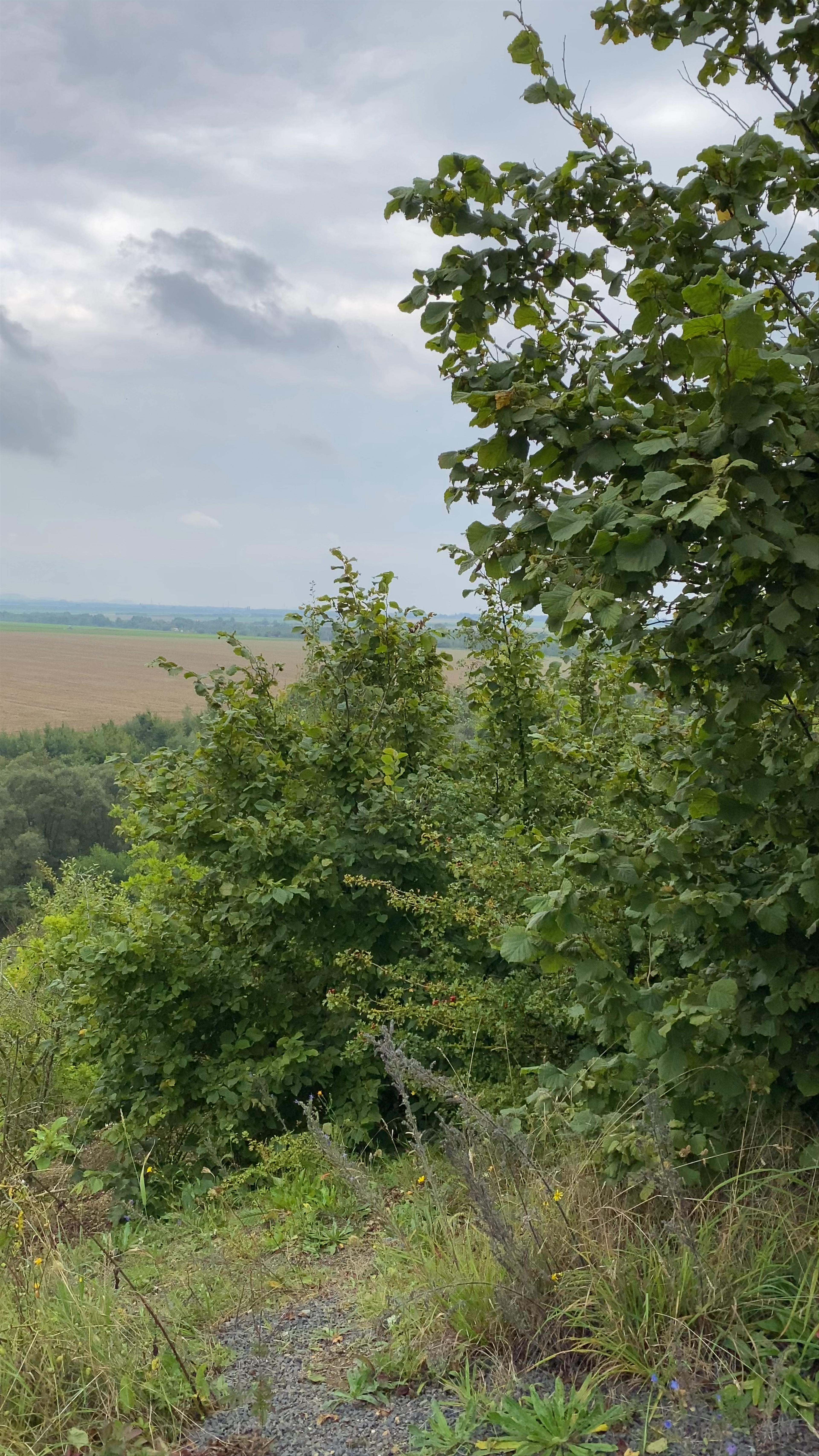 Aussichtspunkt Kirchberg: Scenic Views Over Tagebau Inden, Jülich