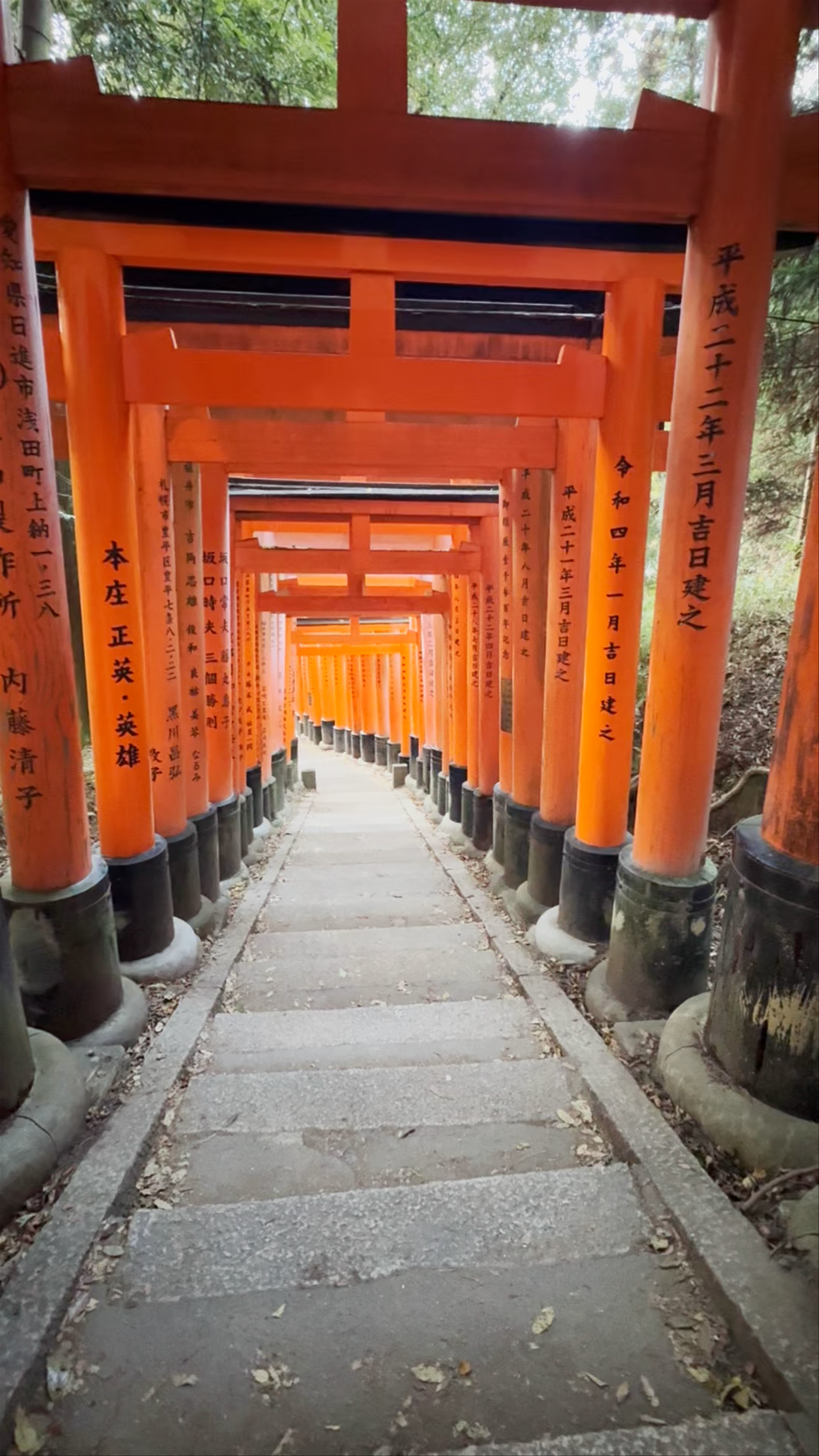 Fushimi Inari Taisha: The Iconic Torii Tunnel Experience in Kyoto