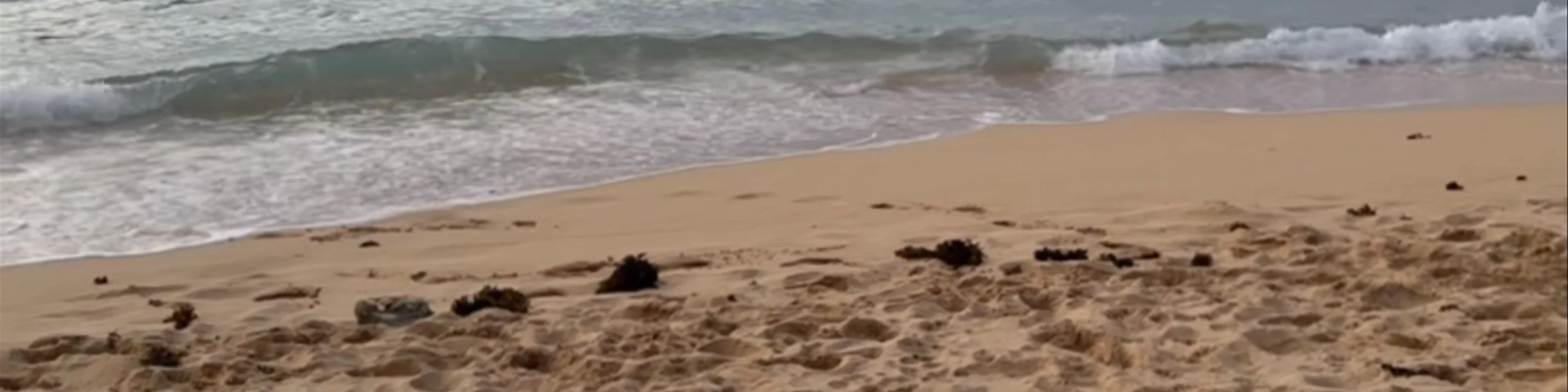Patar Beach Bolinao