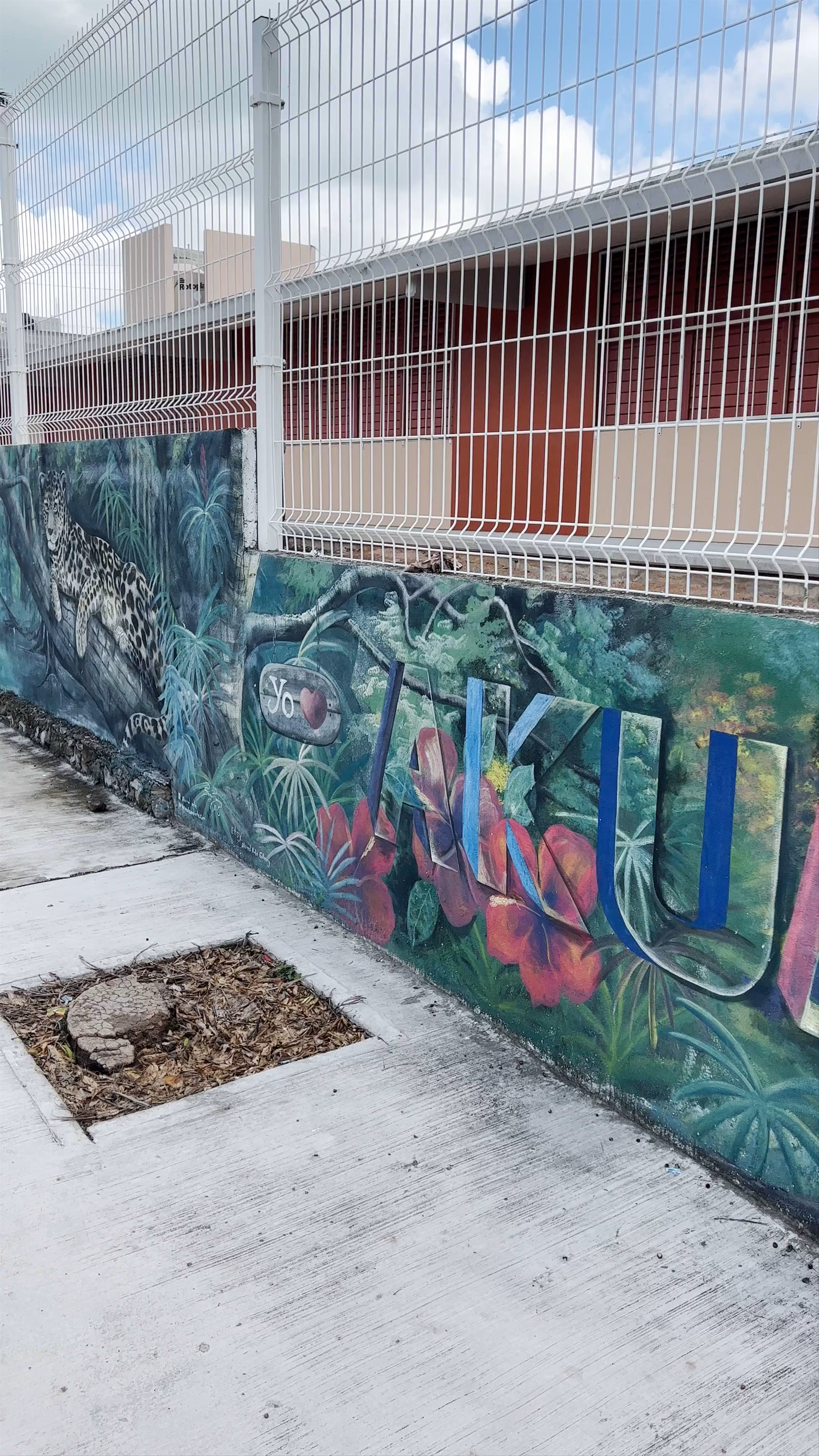 Akumal Art Walk