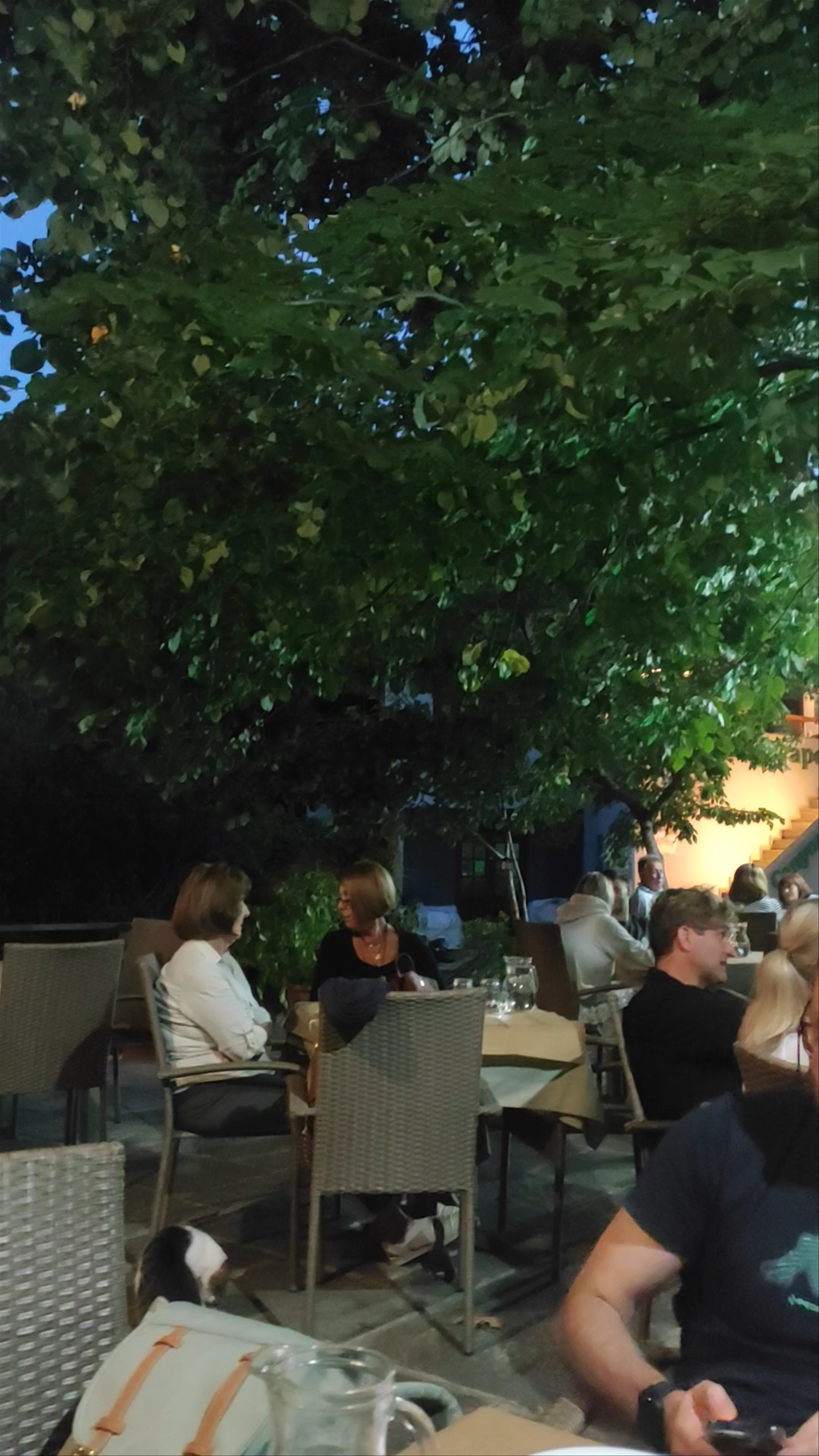 Po-pizza Coffee Bar: Cozy Evening Dining in Tsagkarada, Greece