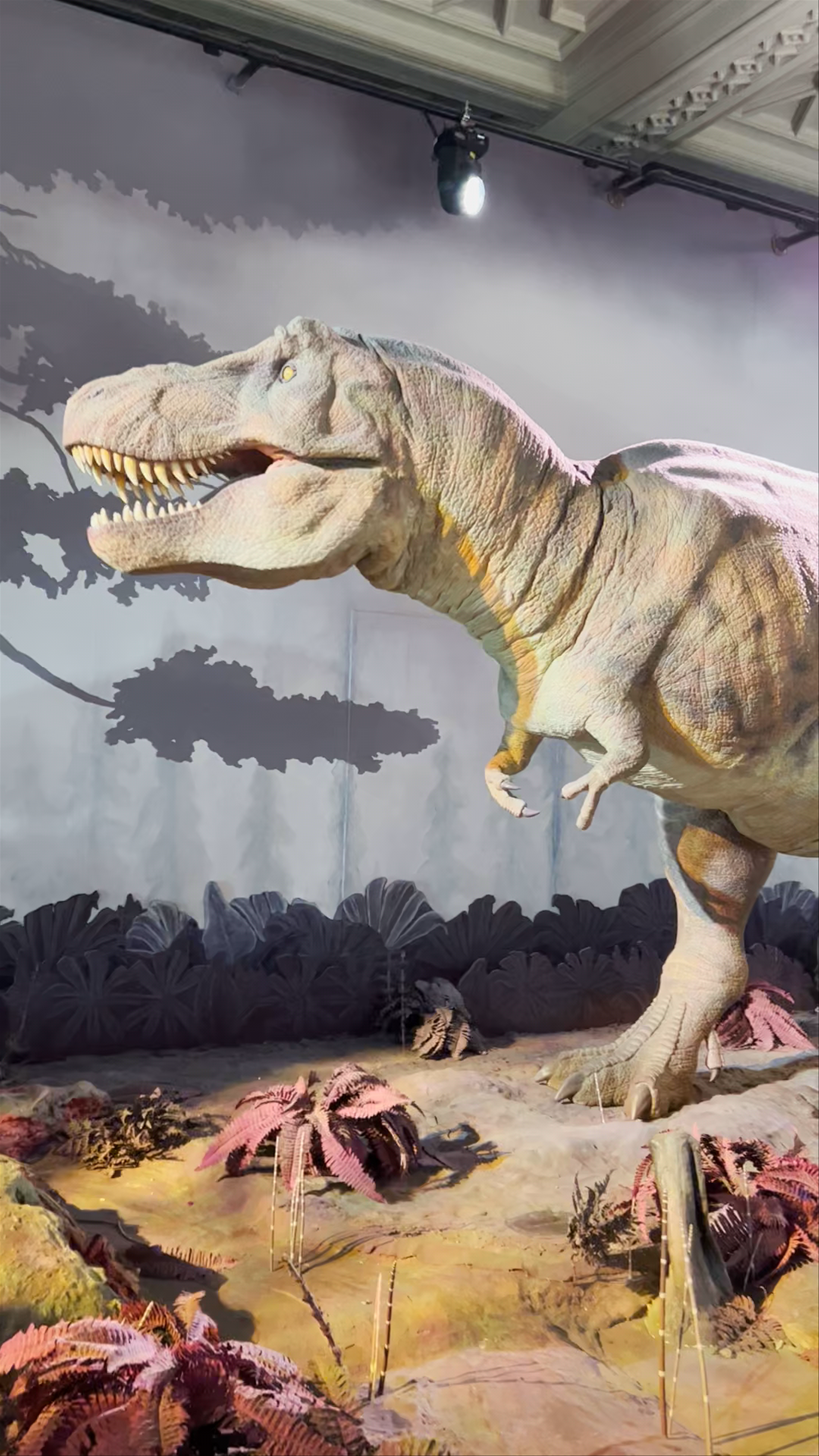 Natural History Museum
