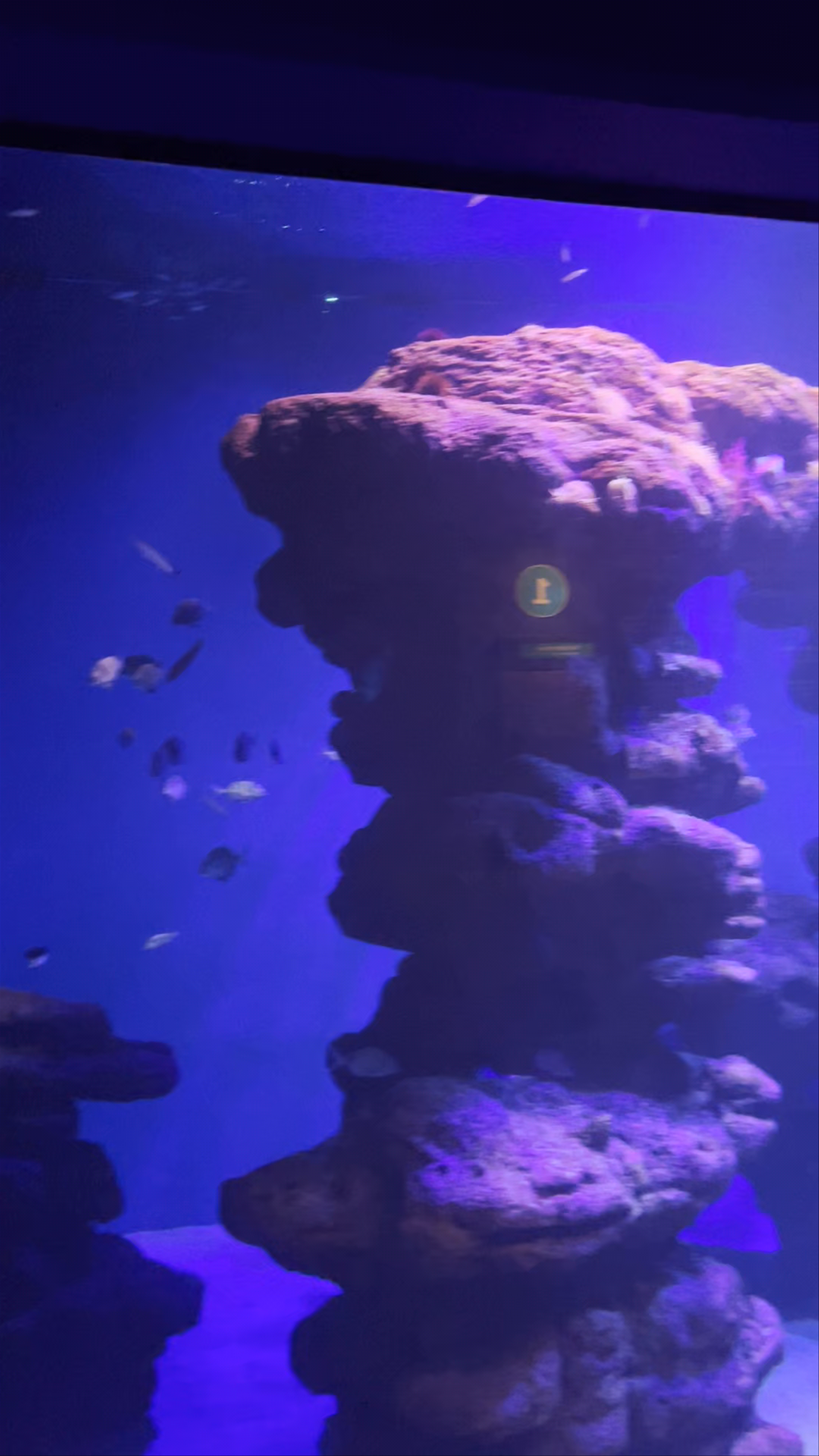Palma Aquarium