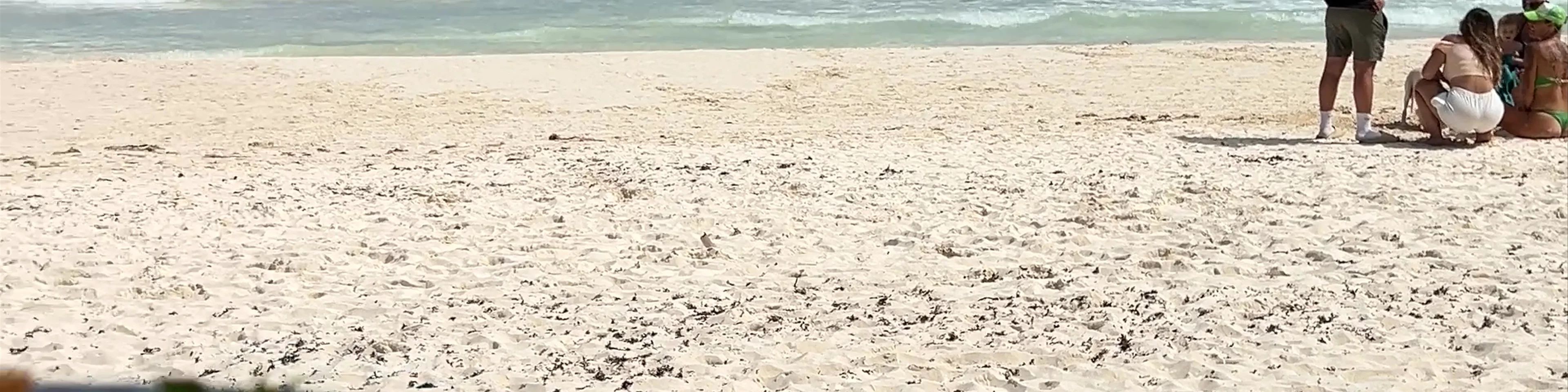 DELEK TULUM