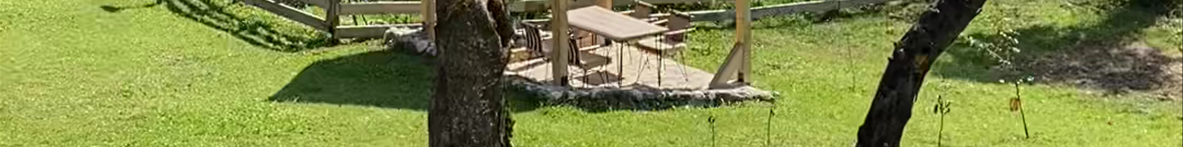 Tours & experiences in Šavnik