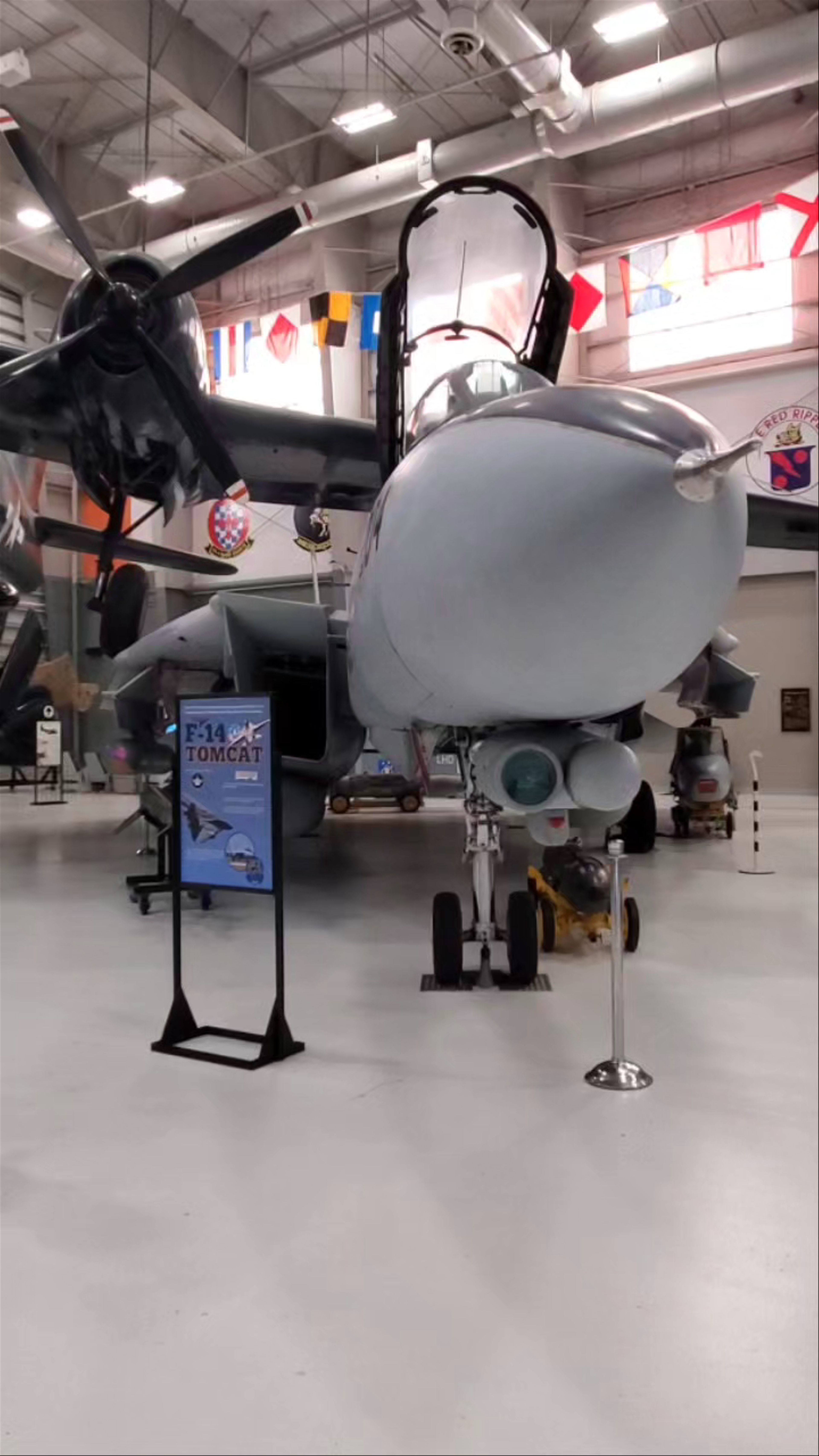 Naval Aviation Museum: Iconic Military Aircraft in Pensacola, Florida