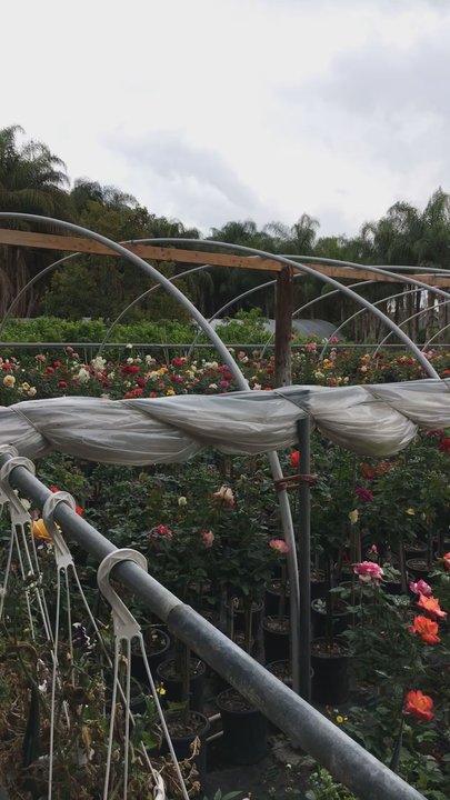 Rodriguez Nursery - Nurseries & Gardening Near Me - Chino, California