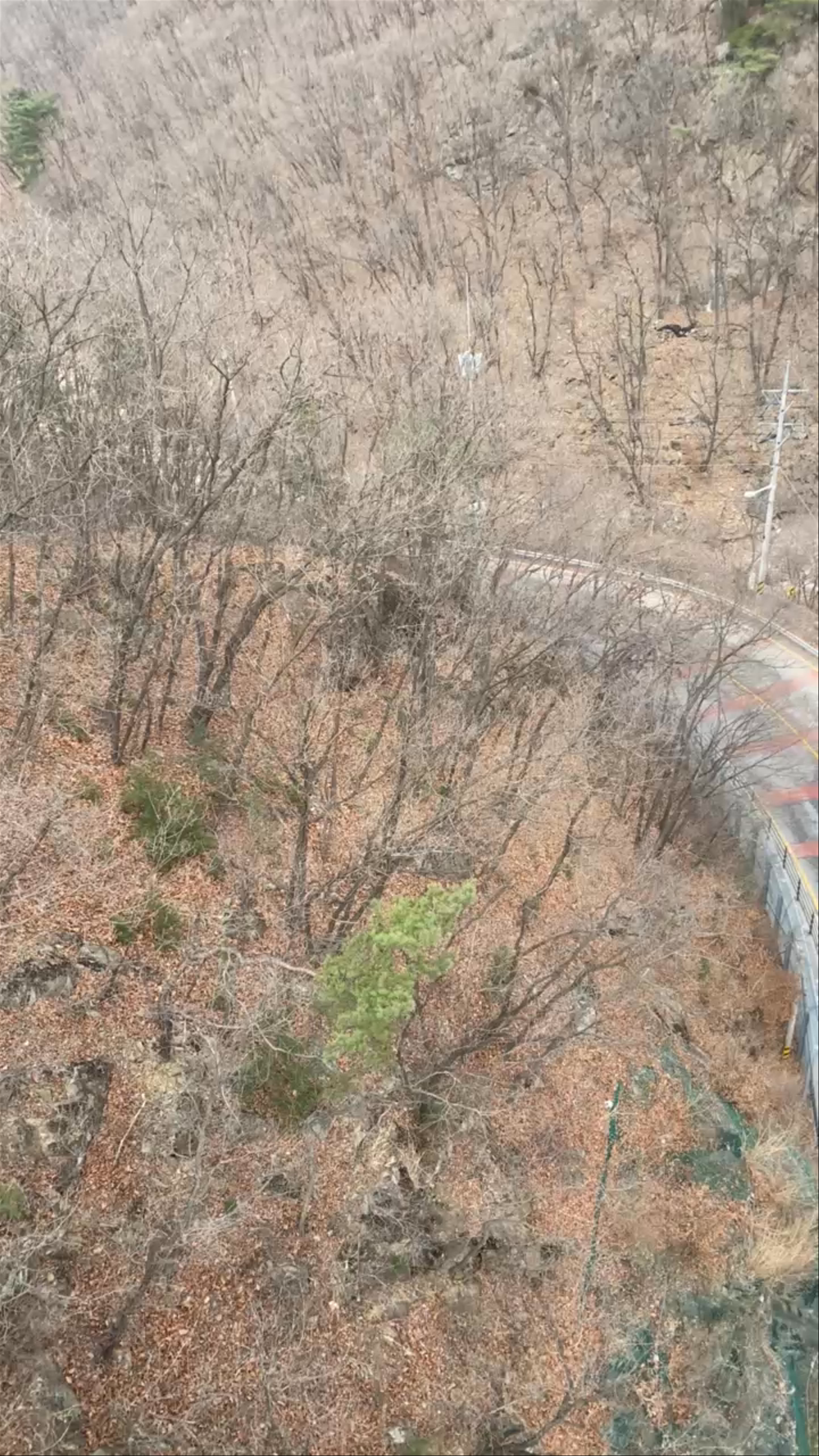 Gamaksan Suspension Bridge