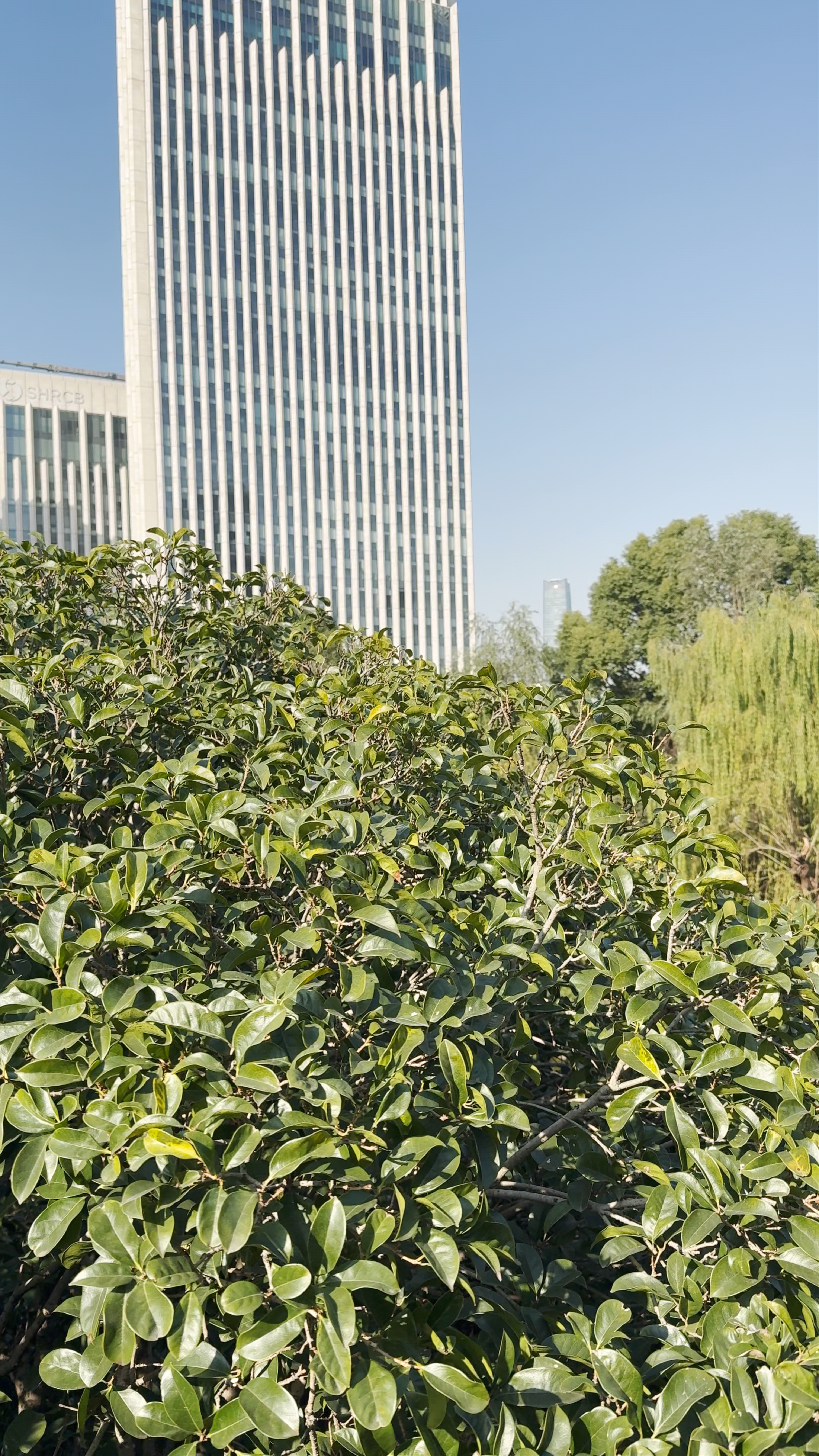 Gucheng Park （South Gate 1）