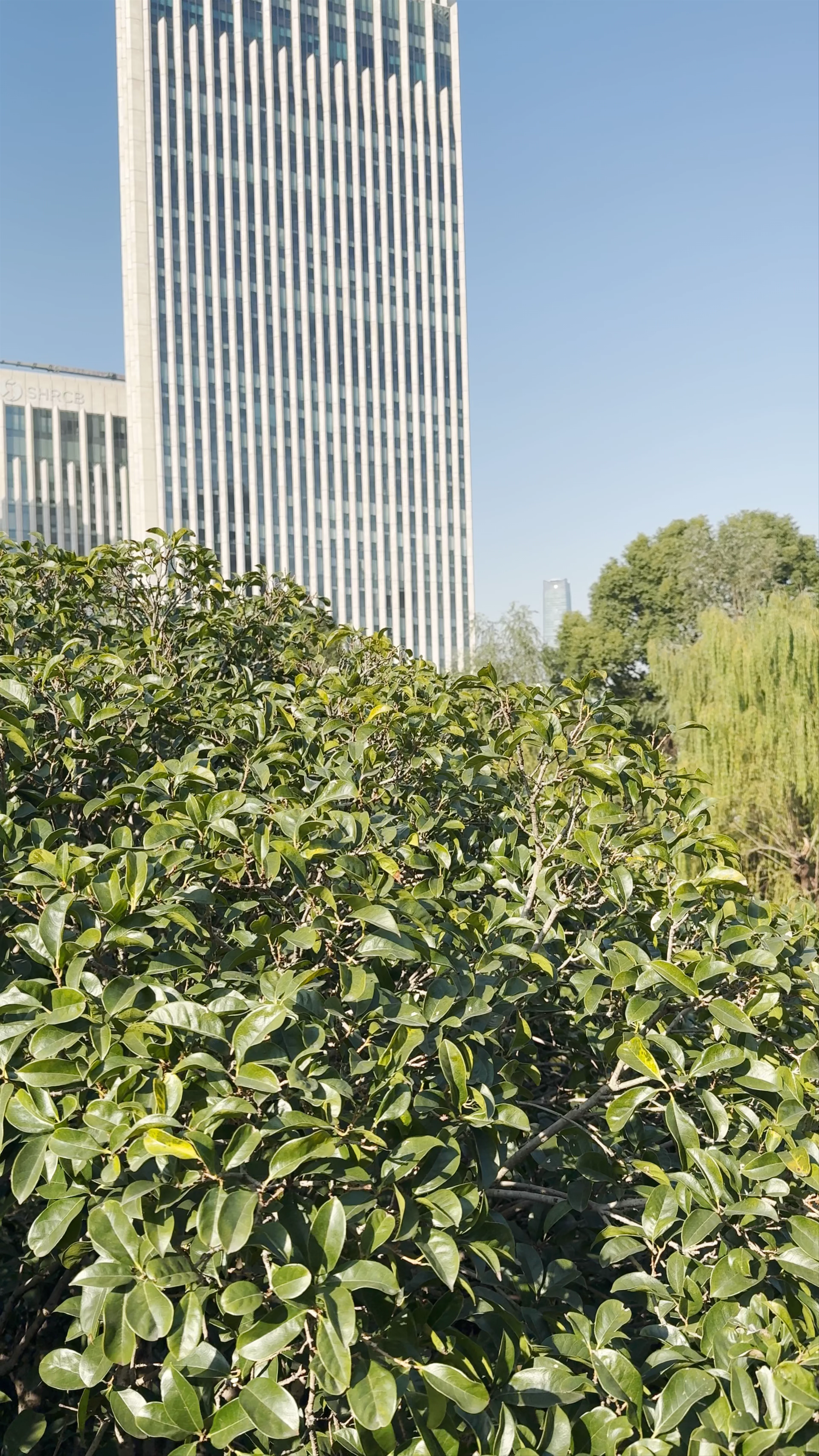 Gucheng Park (South Gate 1), Renmin Road, Huangpu, Shanghai, China