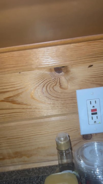 Thousand Trails Pio Pico - ROACHES ALL OVER KITCHEN AREA ! This is what I drove 3 hours for - Campgrounds Near Me - Jamul, California