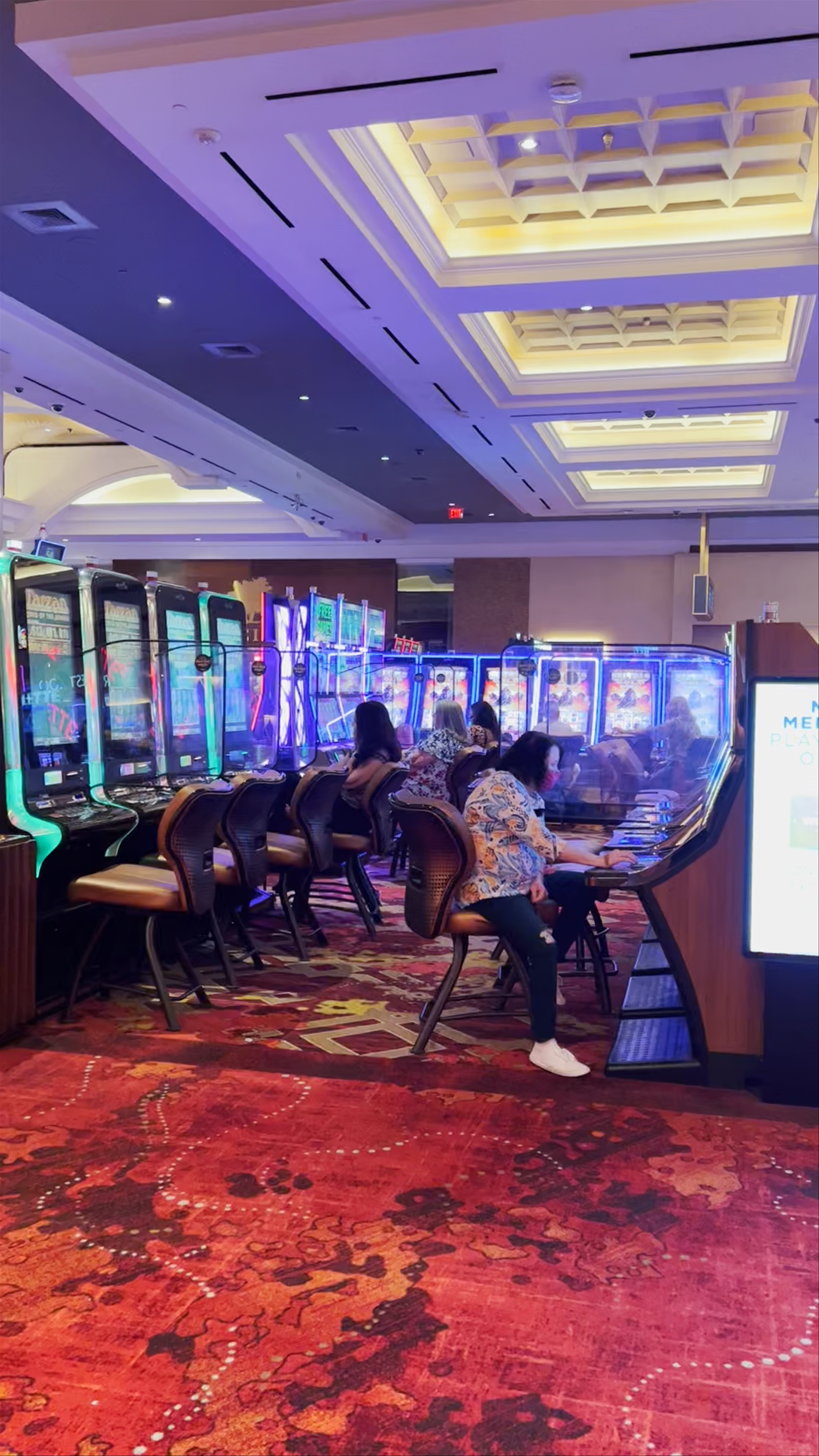 Seminole Hard Rock Hotel & Casino Tampa