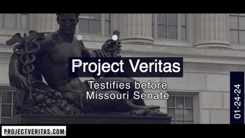 Video Thumbnail Loop