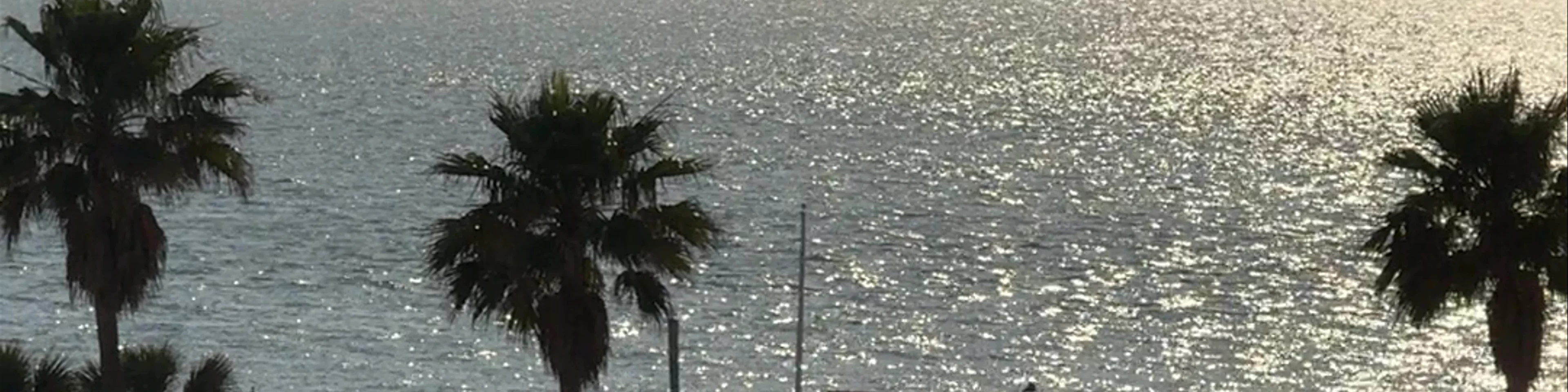 Clearwater Beach