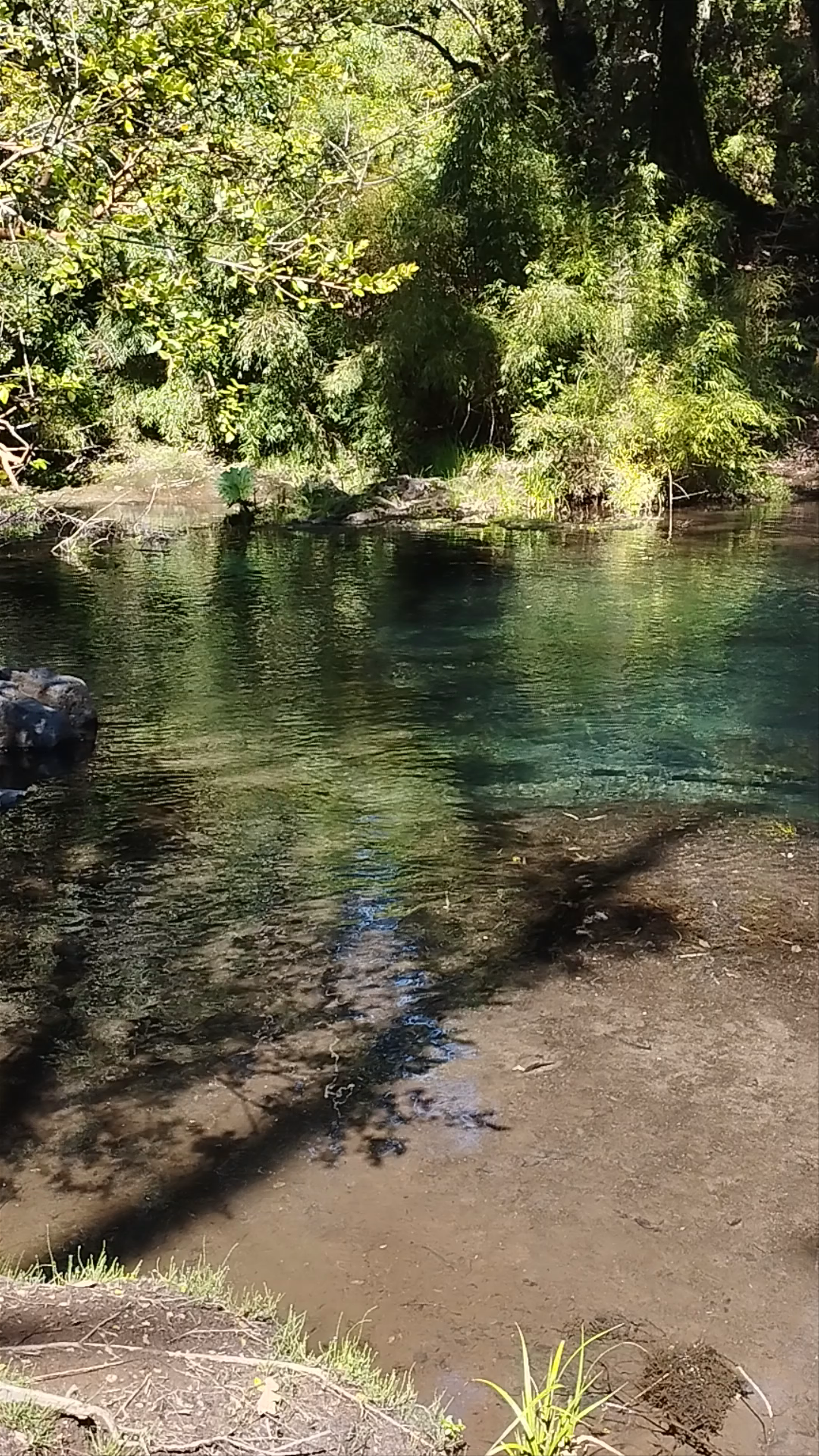 Parque Ojos del Caburgua