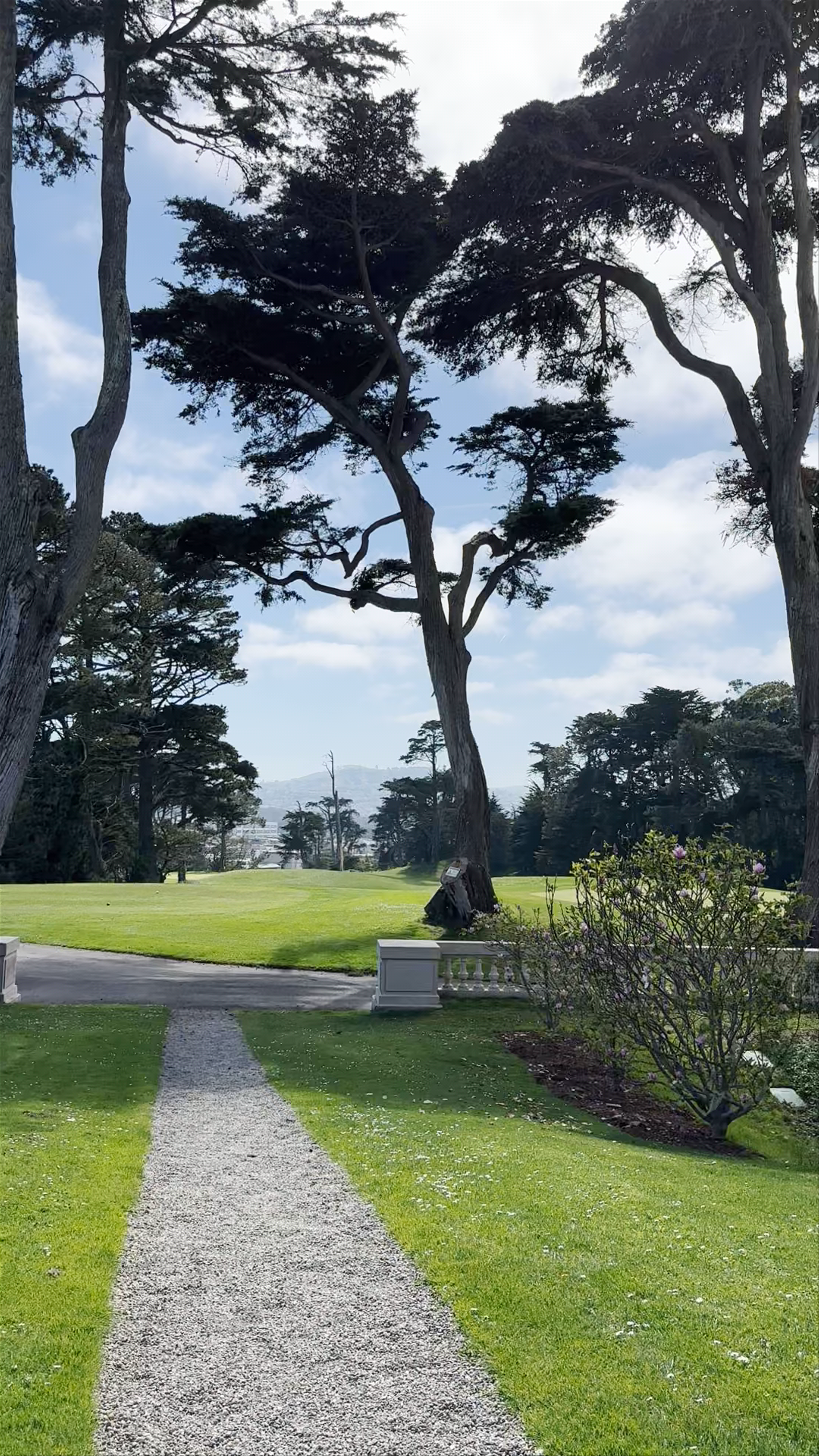 Lincoln Park Golf Course: A Serene Green Escape in San Francisco