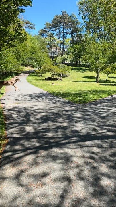 Belleville Park - Parks Near Me - Belleville, New Jersey