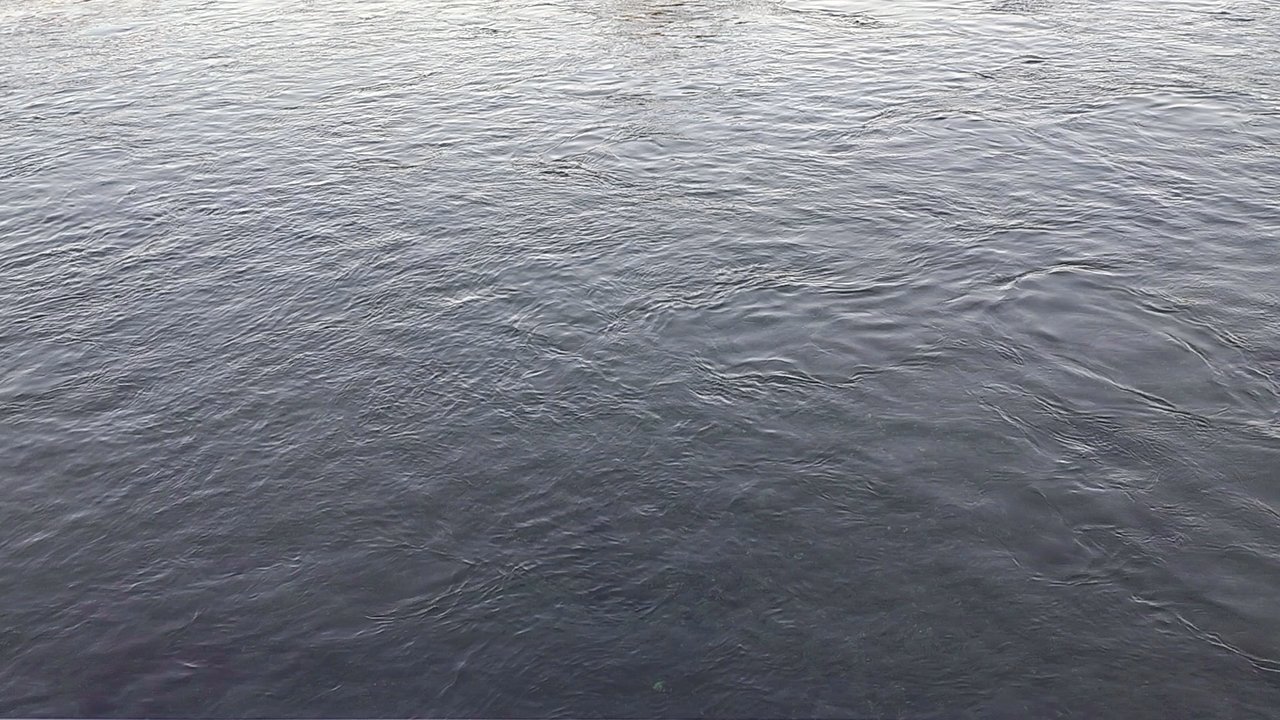 Laughlin River Tours - Clean clear water and 360 view from up top - Tours Near Me - Laughlin, Nevada