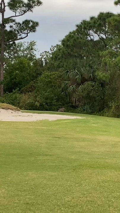 Jensen Beach Golf Club - Golf Lessons Near Me - Jensen Beach, Florida