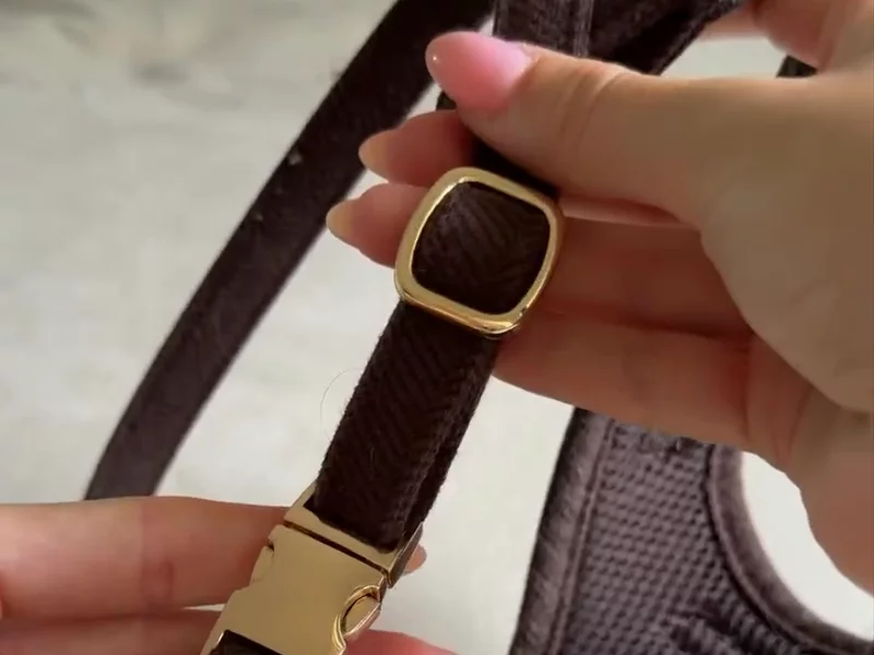 Dog harness walking set UGC example
