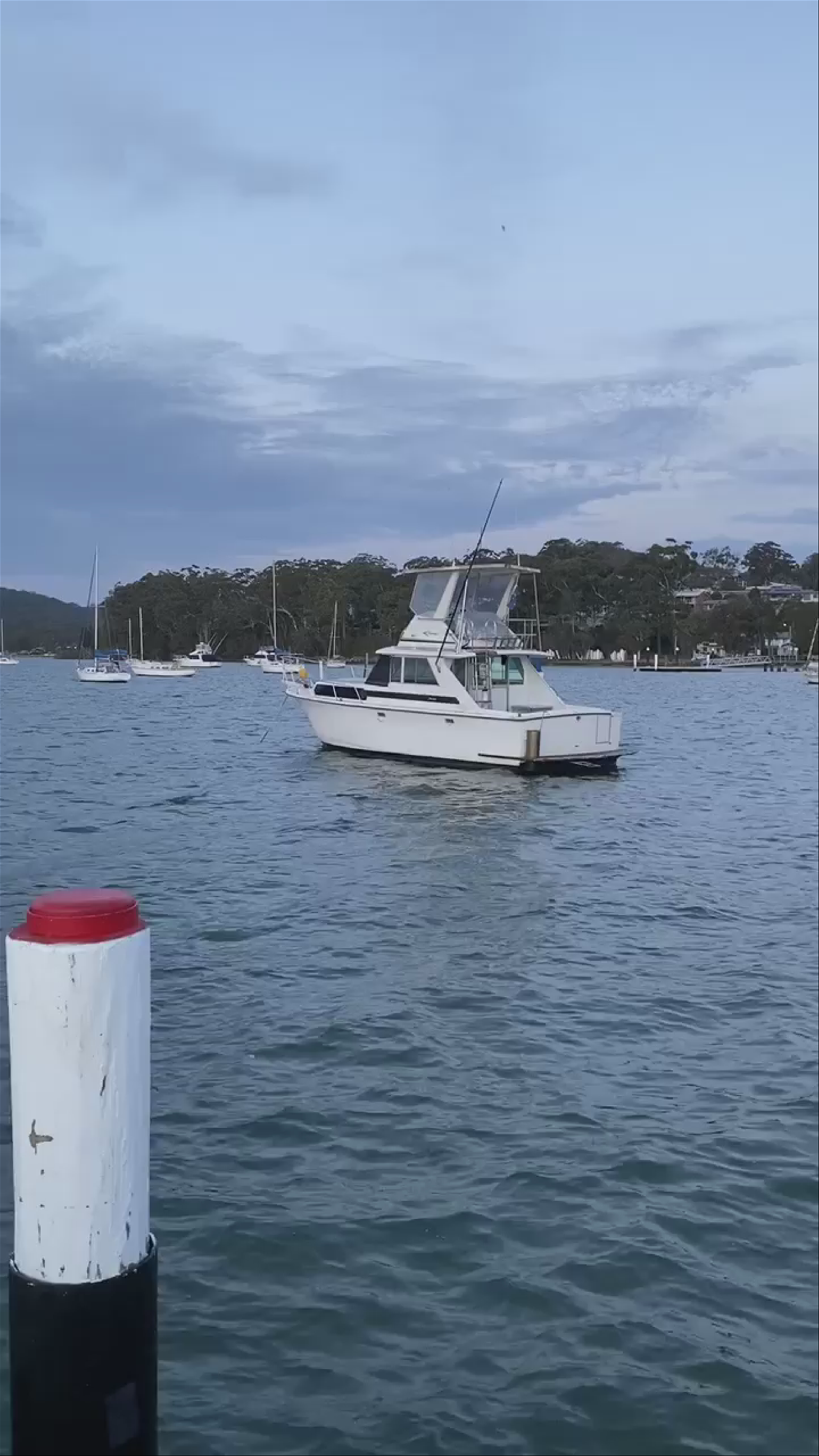 Serene Evening at New Brighton Wharf, Saratoga NSW, Australia