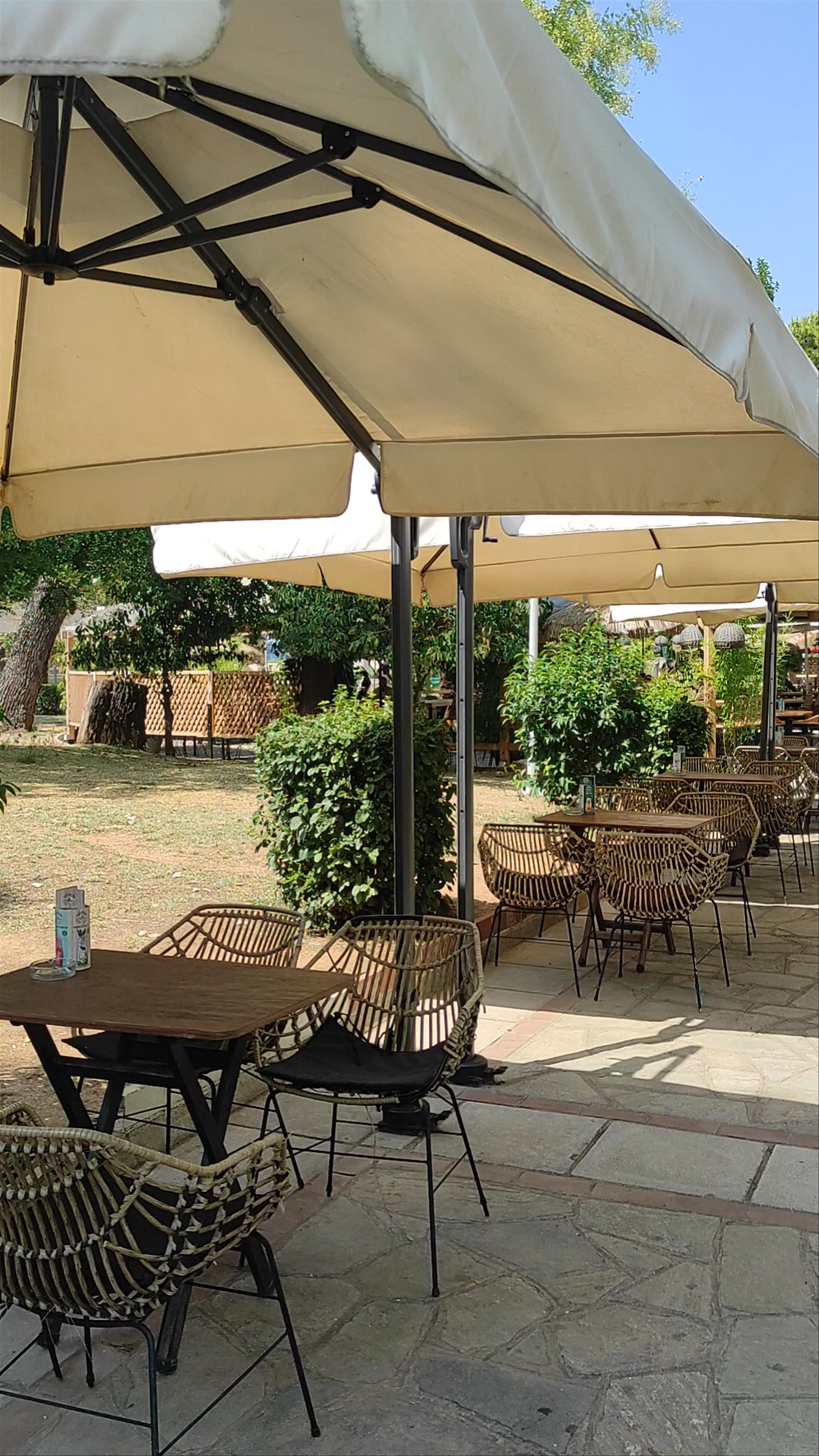 Peaceful Afternoon at XANTHI Park, Thessaloniki